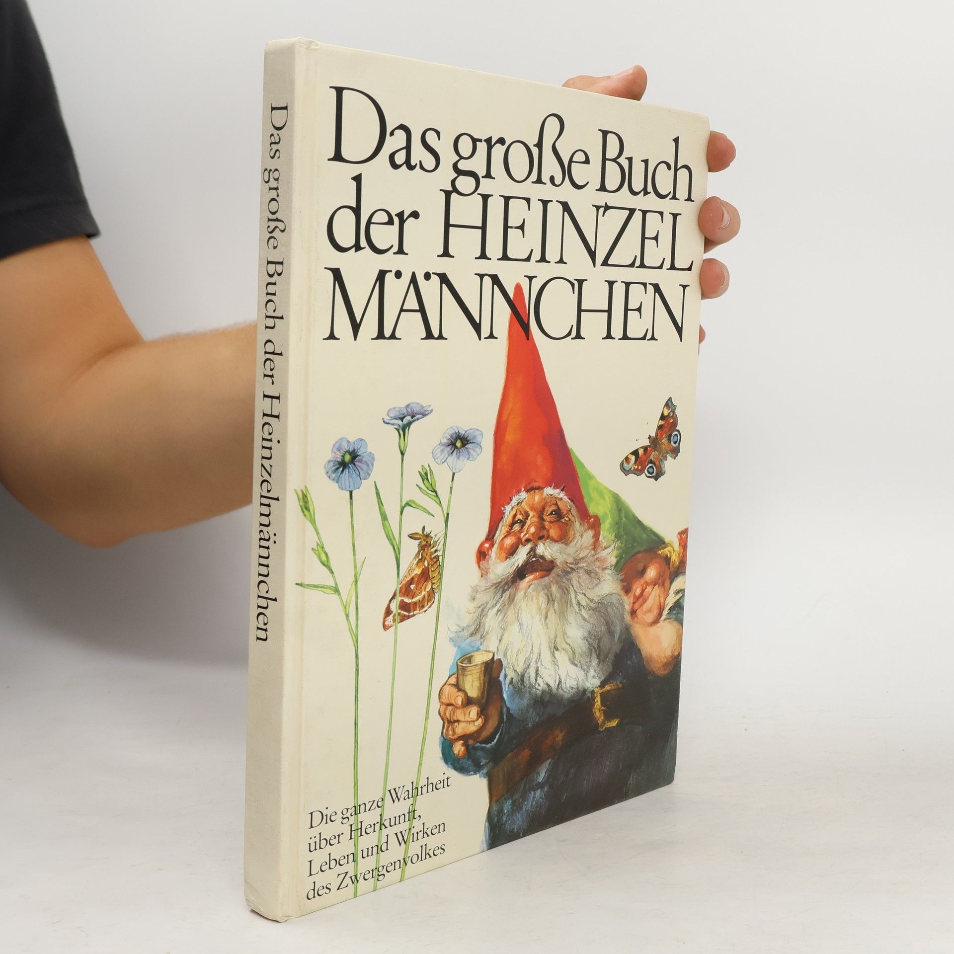 Autores varios Das große Buch der Heinzelmännchen