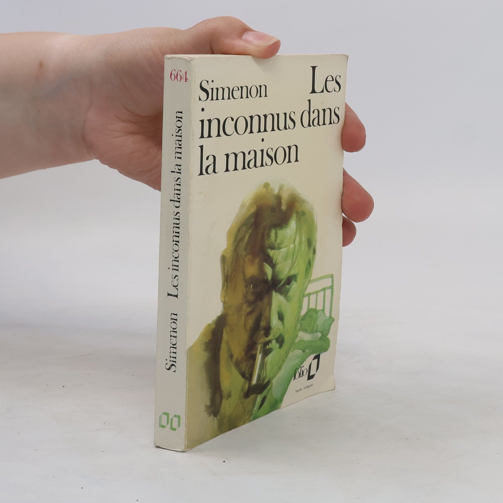 Georges Simenon Les inconnus dans la maison