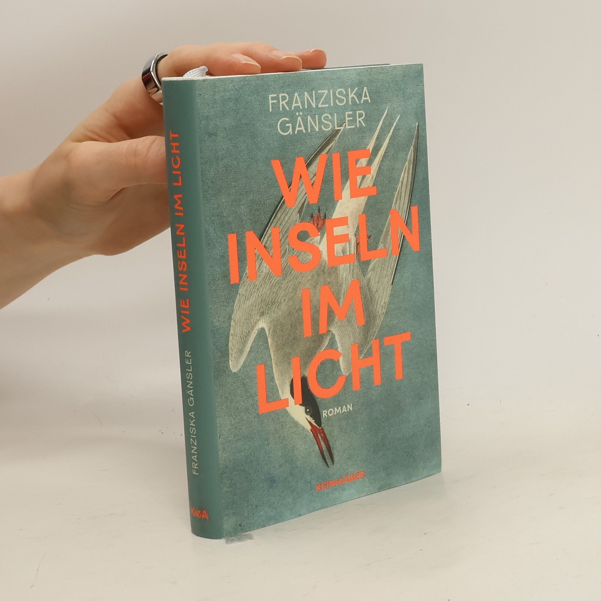 Franziska Gänsler Wie Inseln im Licht