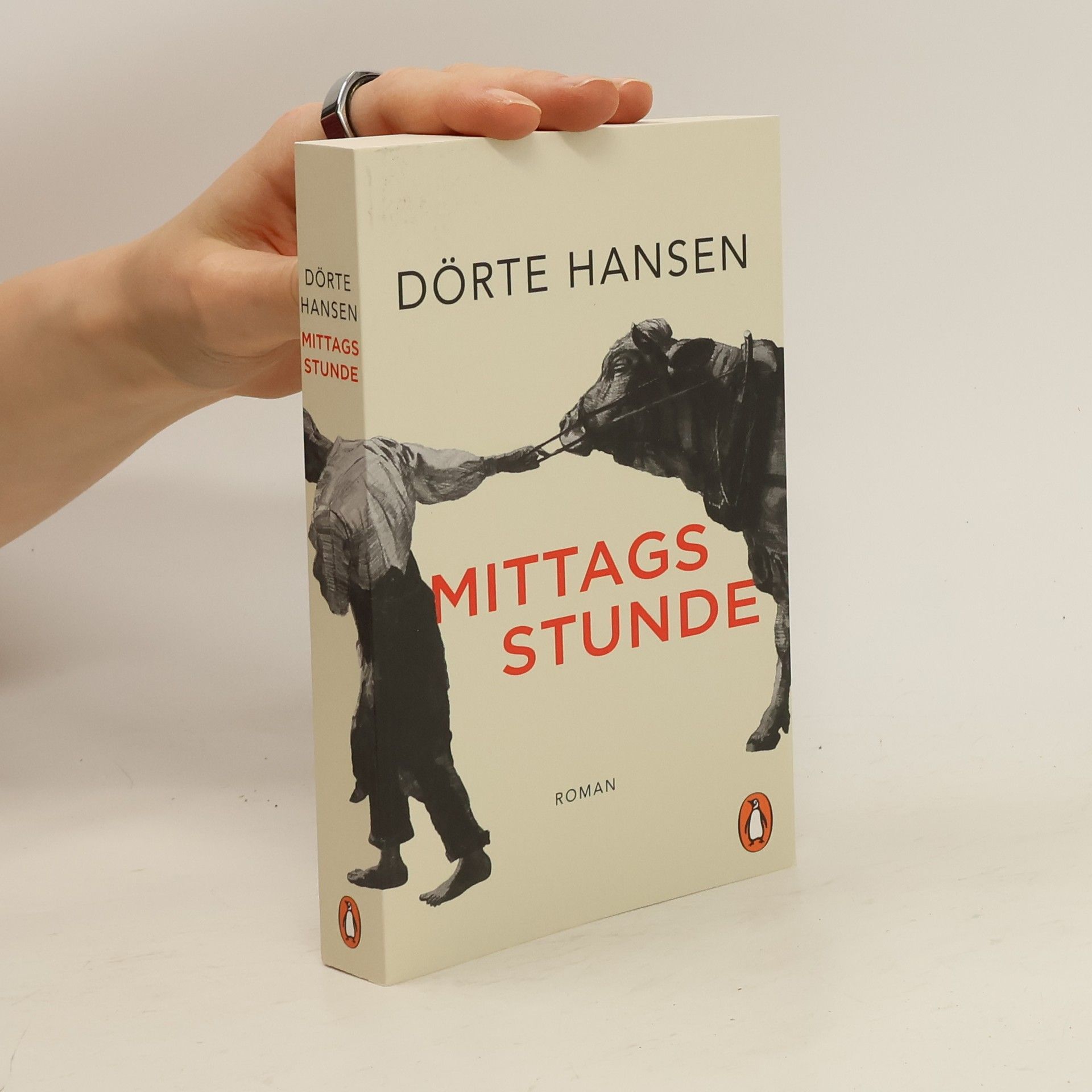 Dörte Hansen Mittagsstunde