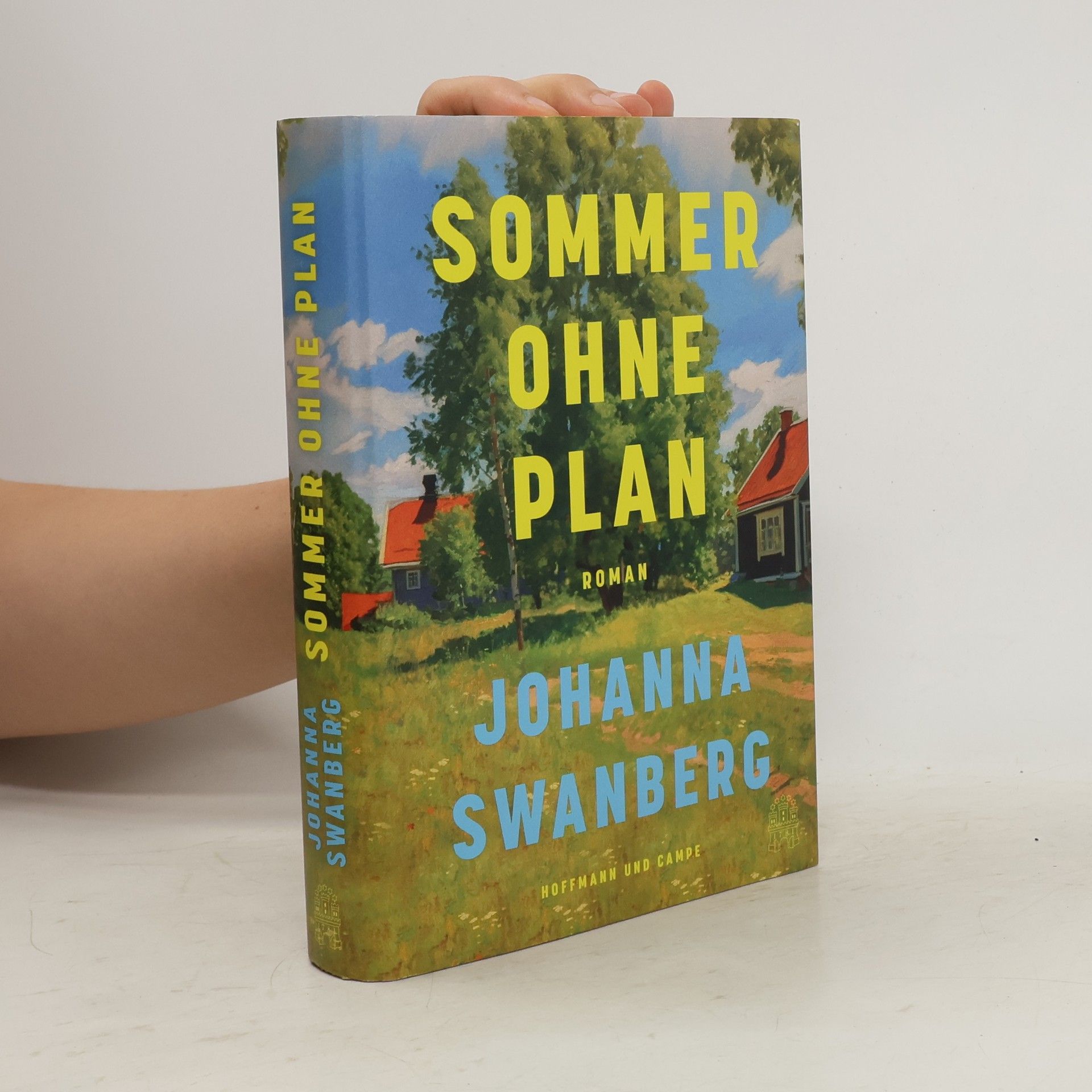 Johanna Swanberg Sommer ohne Plan