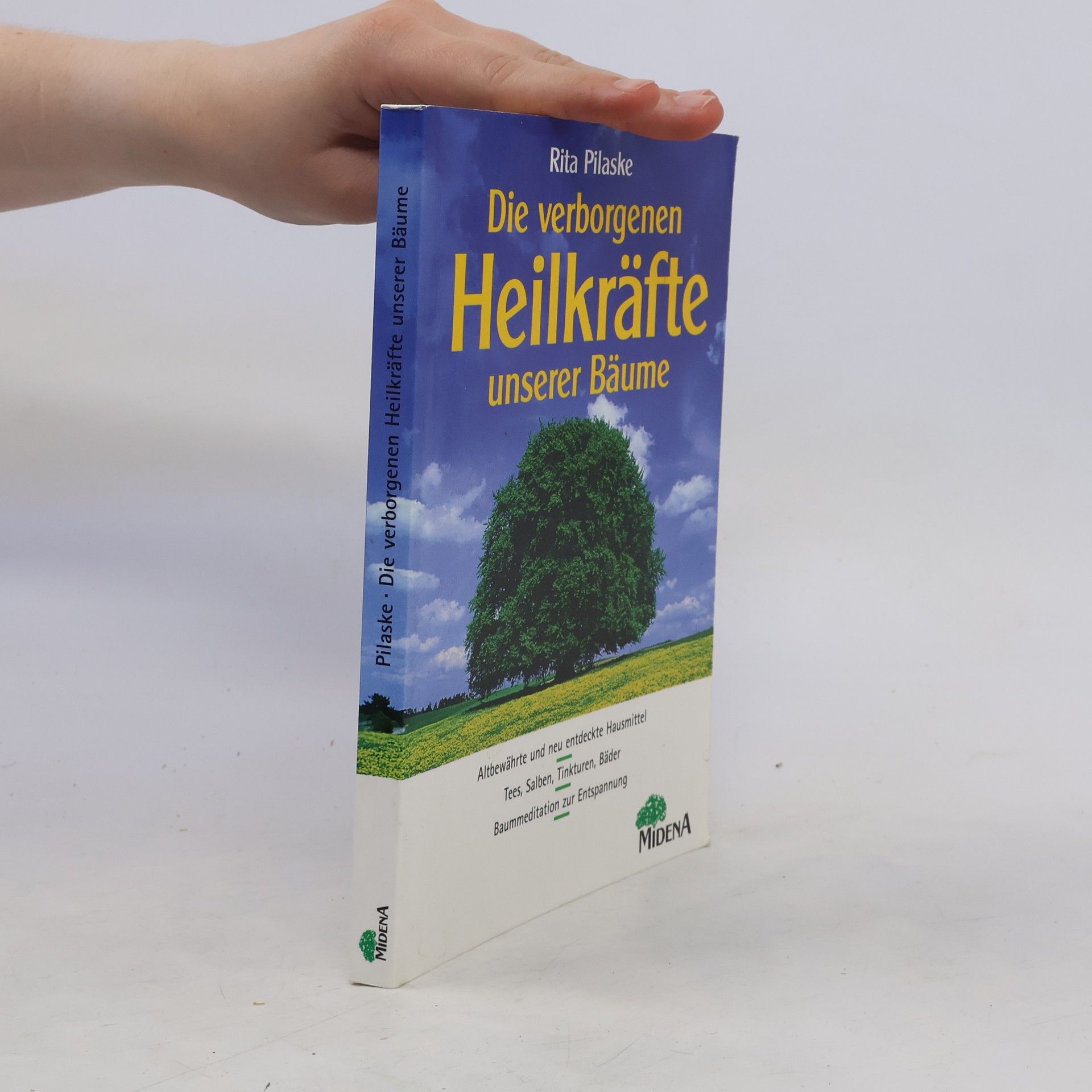 Rita Pilaske Die verborgenen Heilkräfte unserer Bäume