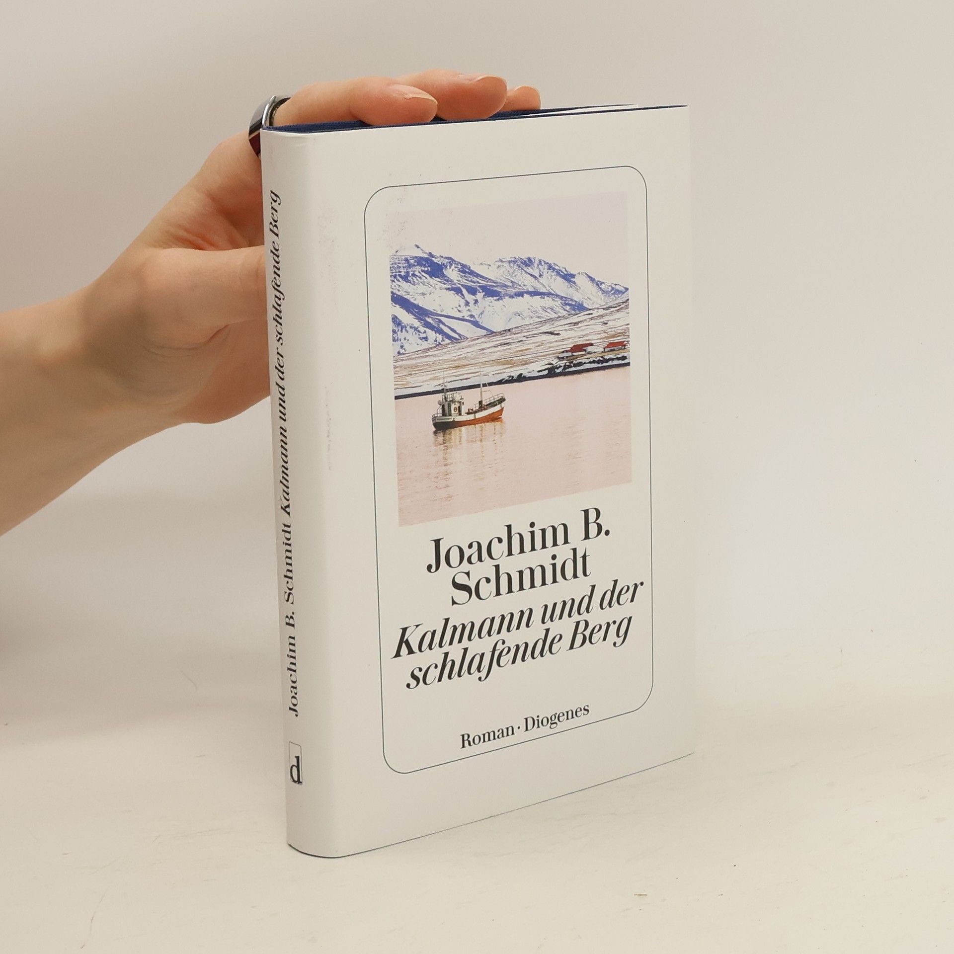 Joachim B. Schmidt Kalmann und der schlafende Berg