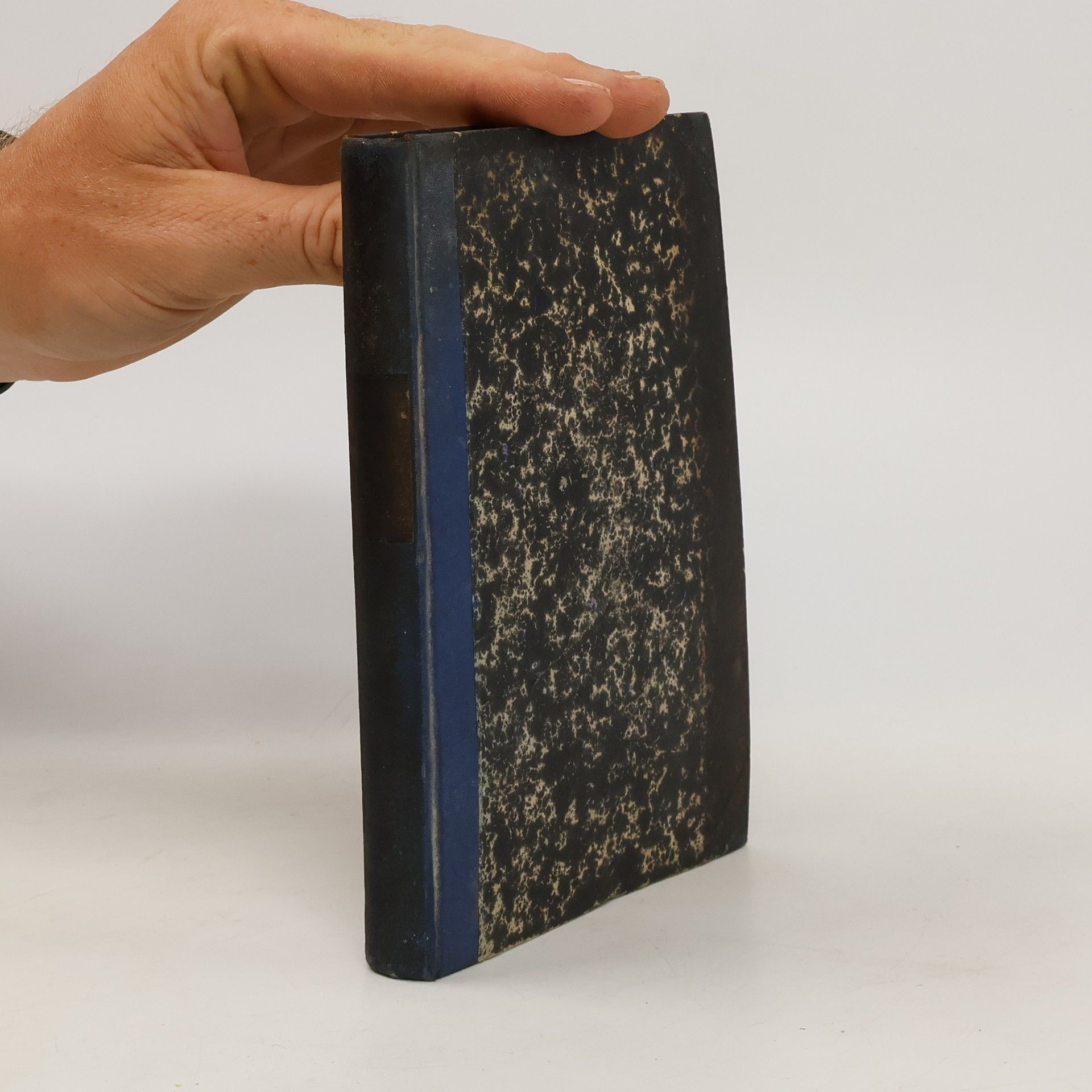 Hannah Lewin-Dorsch Die Technik in der Urzeit und auf primitiven Kulturstufen