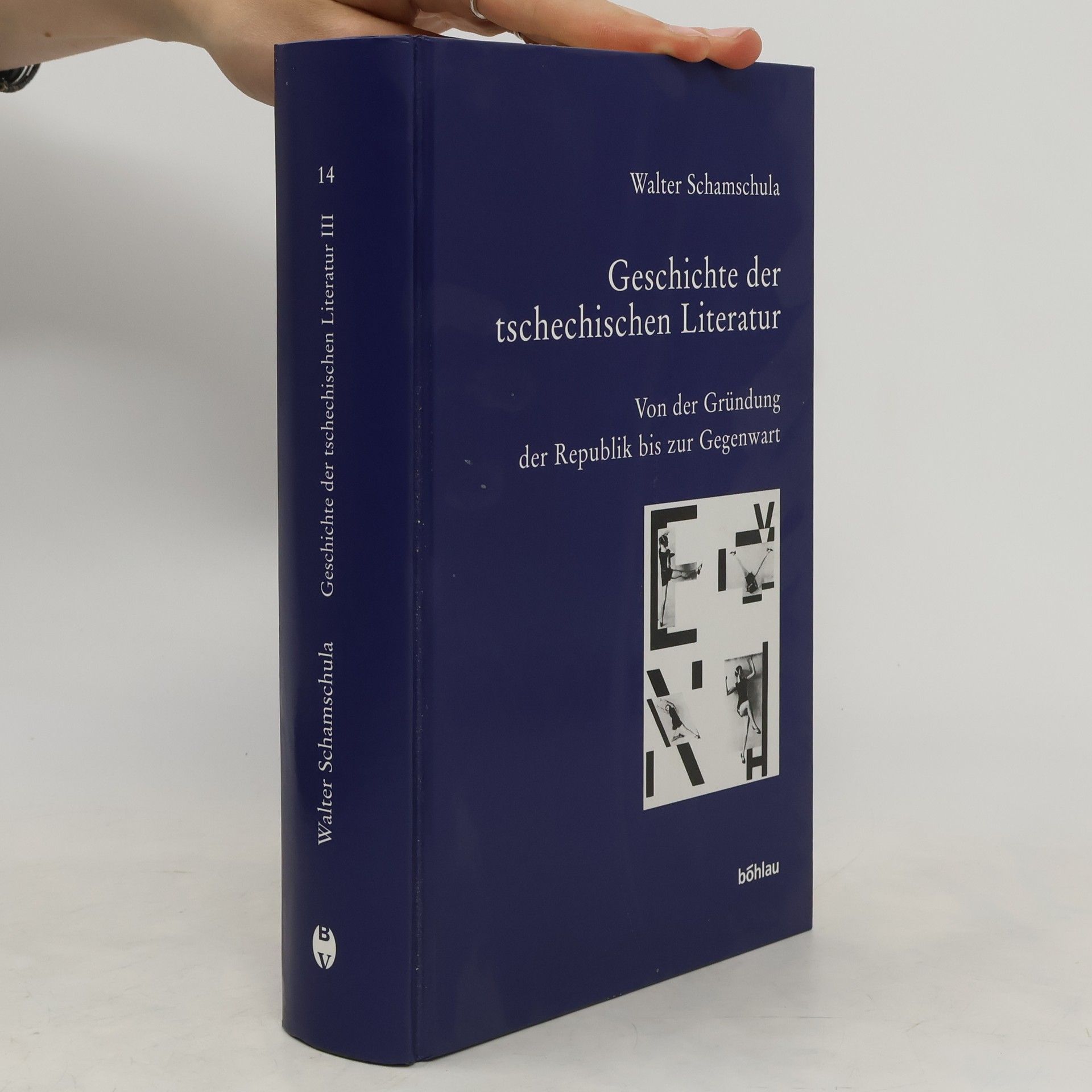 Walter Schamschula Geschichte der tschechischen Literatur