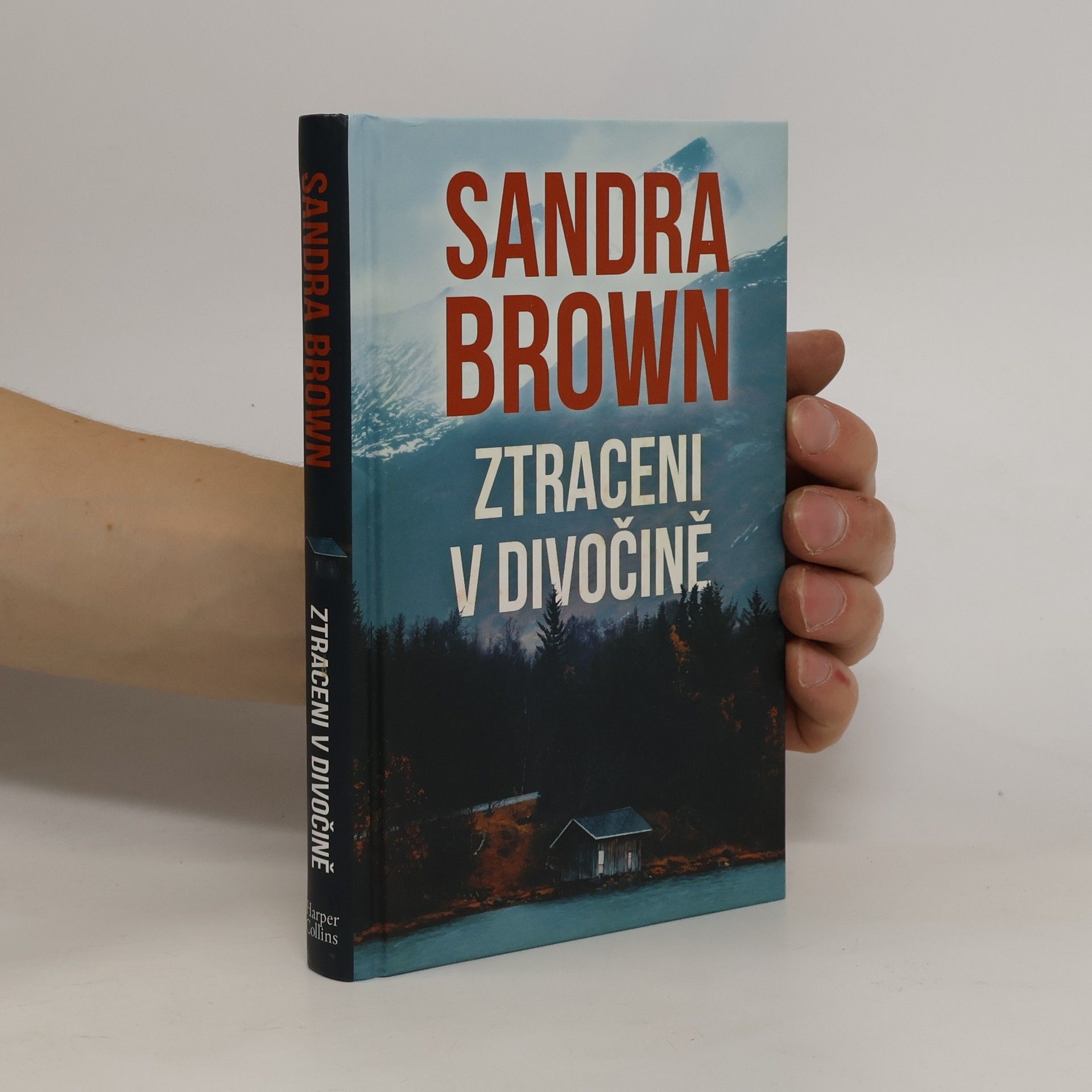 Sandra Brown Ztraceni v divočině
