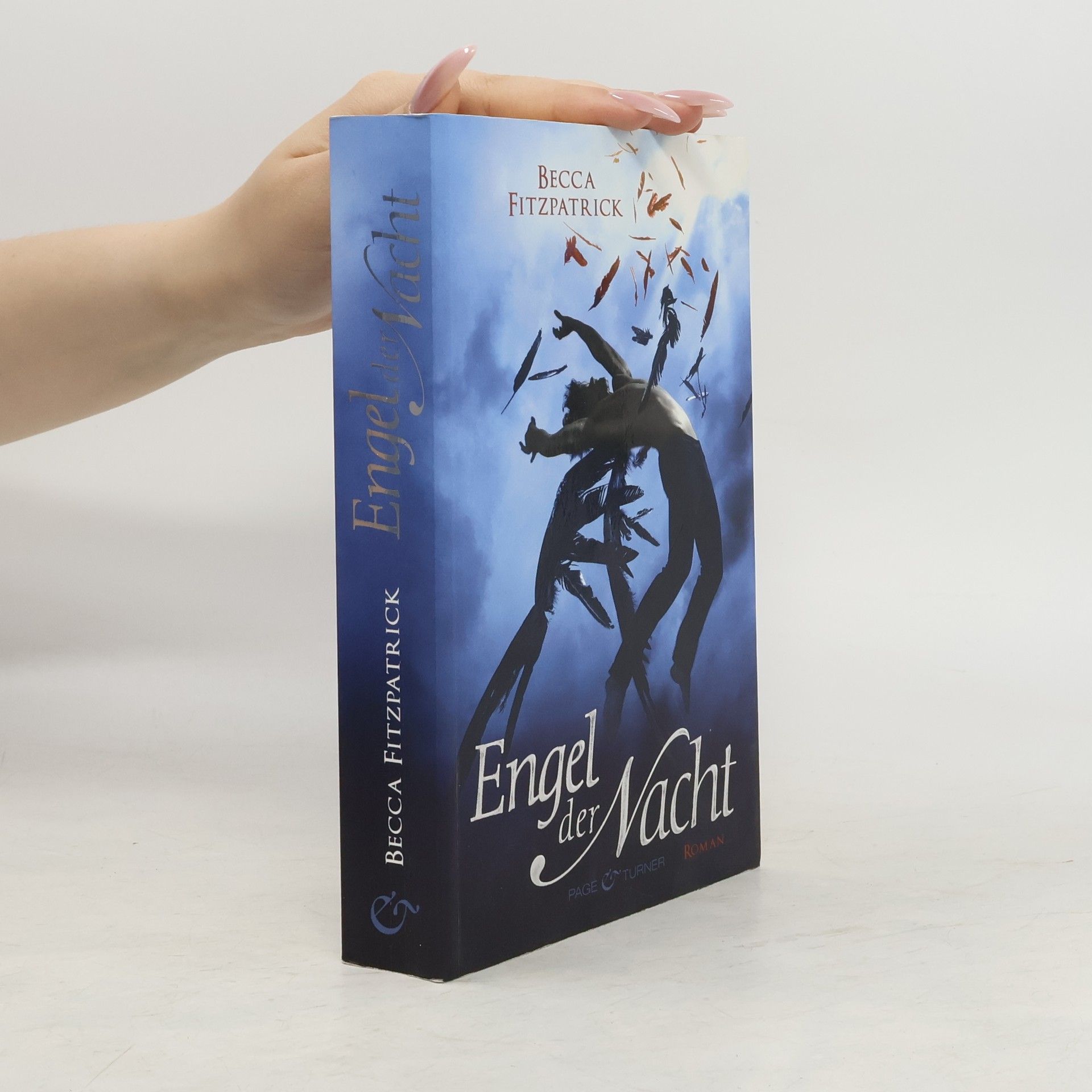 Becca Fitzpatrick Engel der Nacht