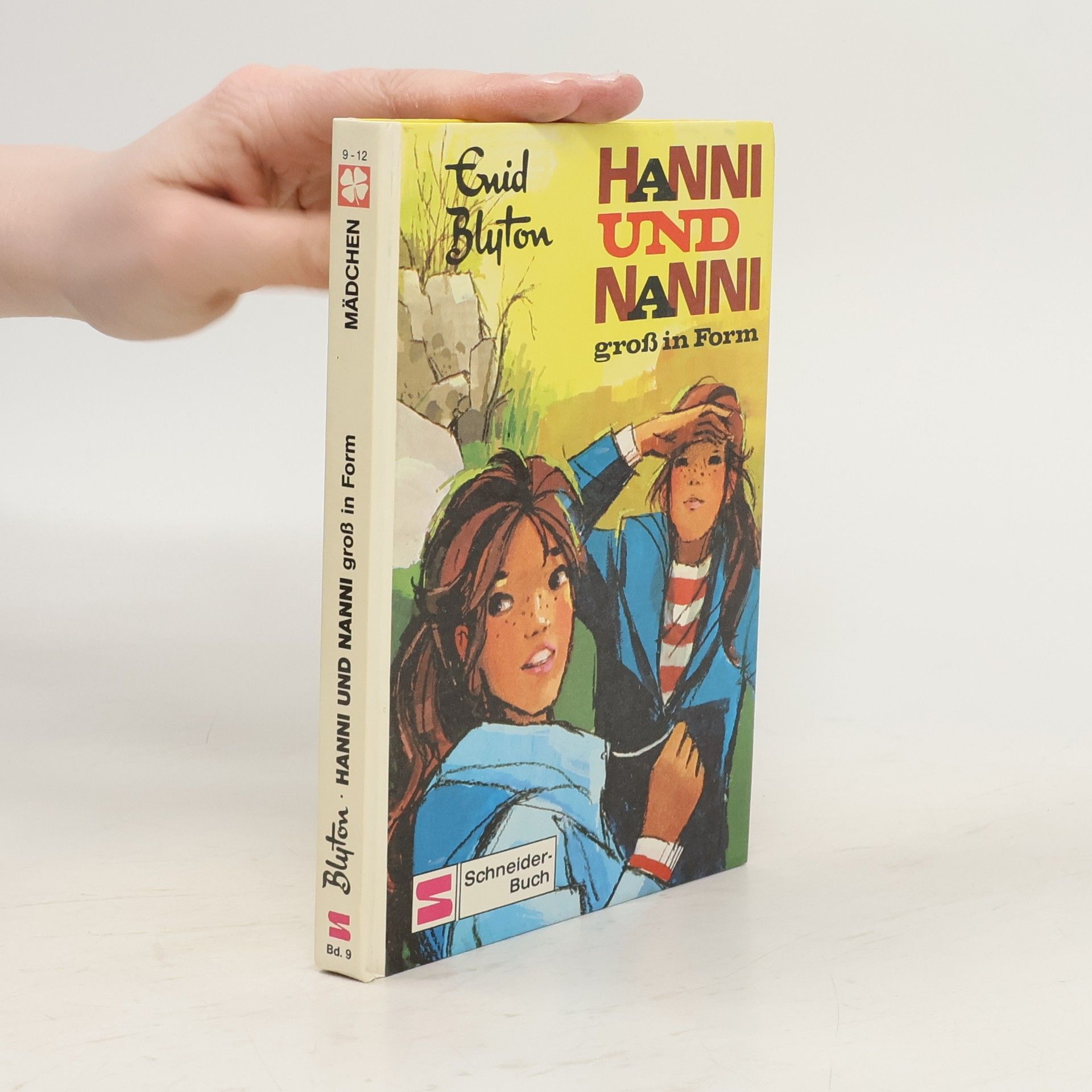 Enid Blyton Hanni und Nanni groß in Form