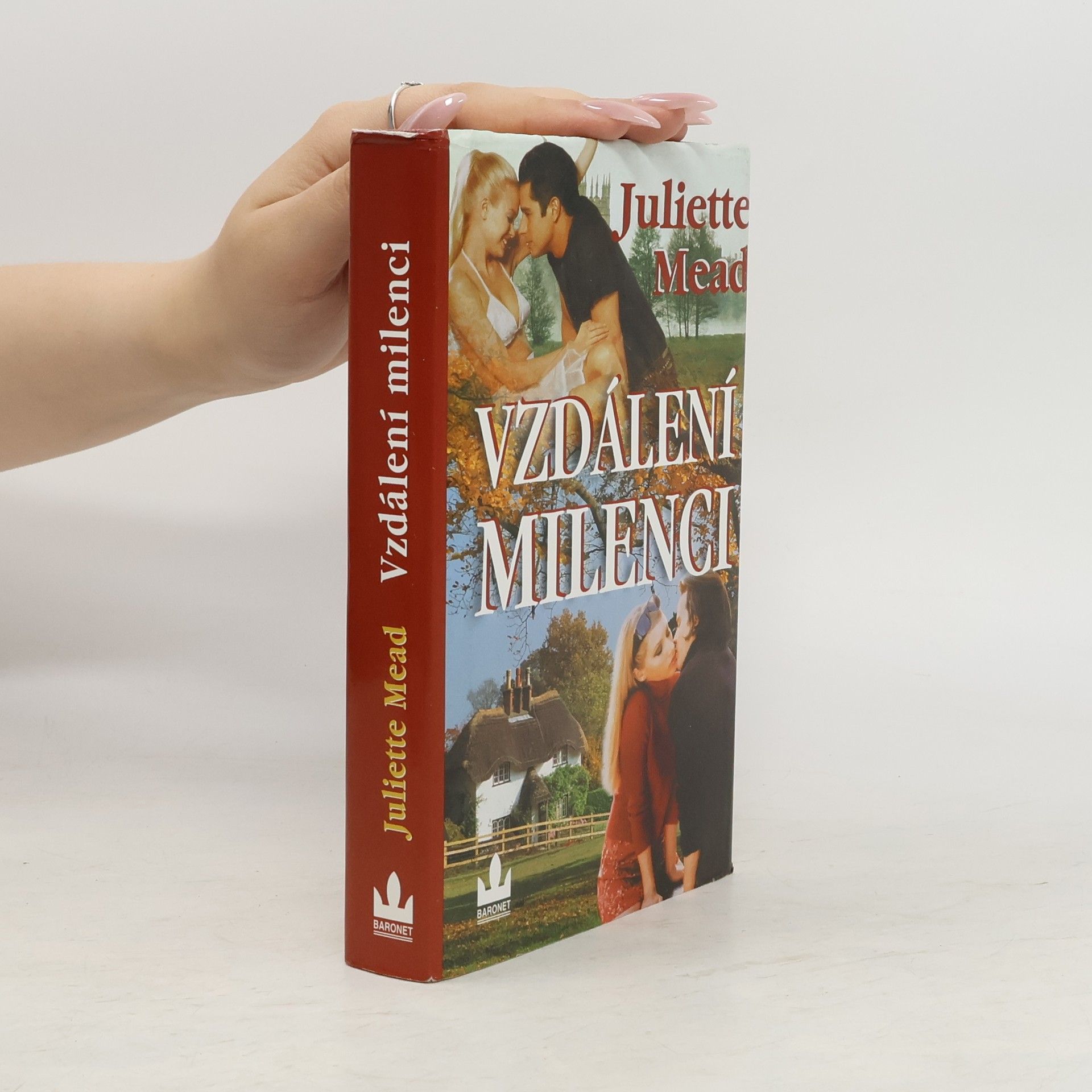 Juliette Mead Vzdálení milenci