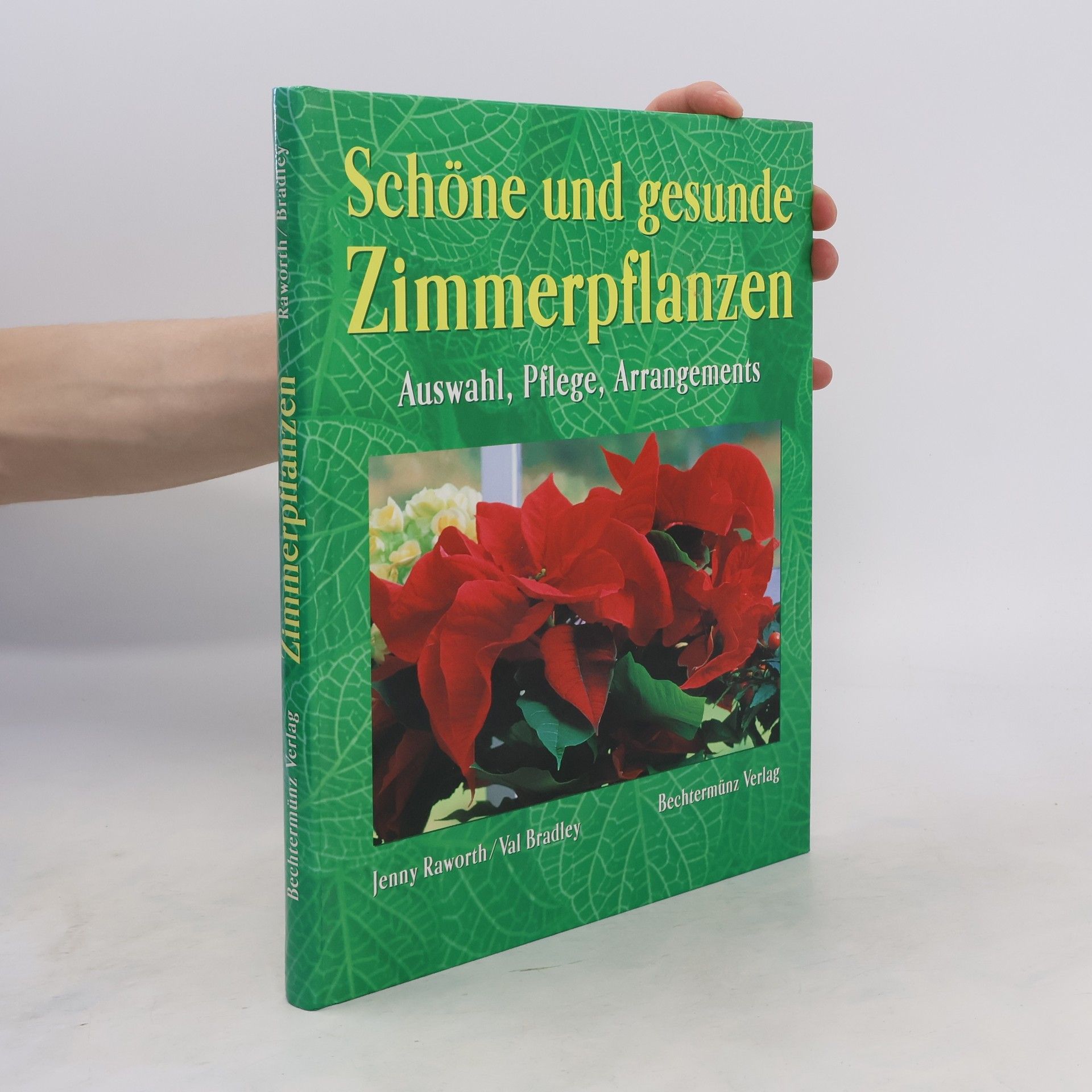 kolektiv Schöne und gesunde Zimmerpflanzen