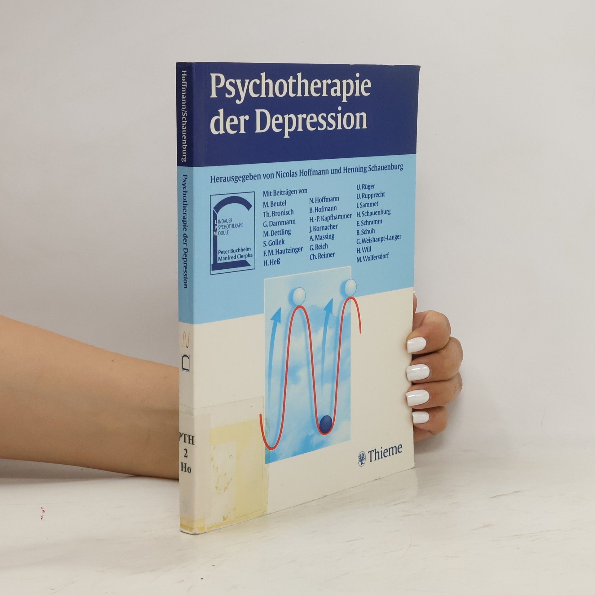 Nicolas Hoffmann Psychotherapie der Depression