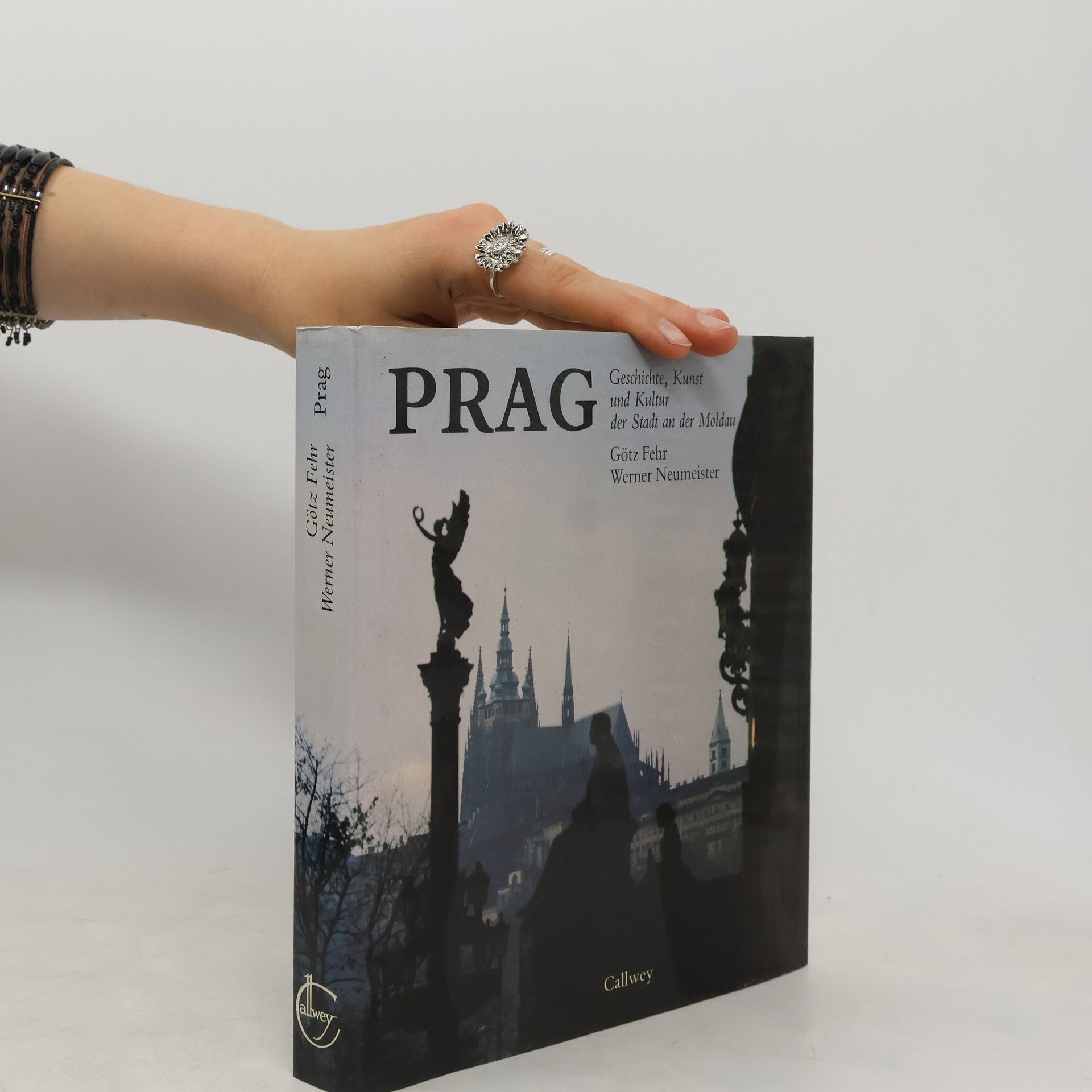 Götz Fehr Prag, Stadt an der Moldau