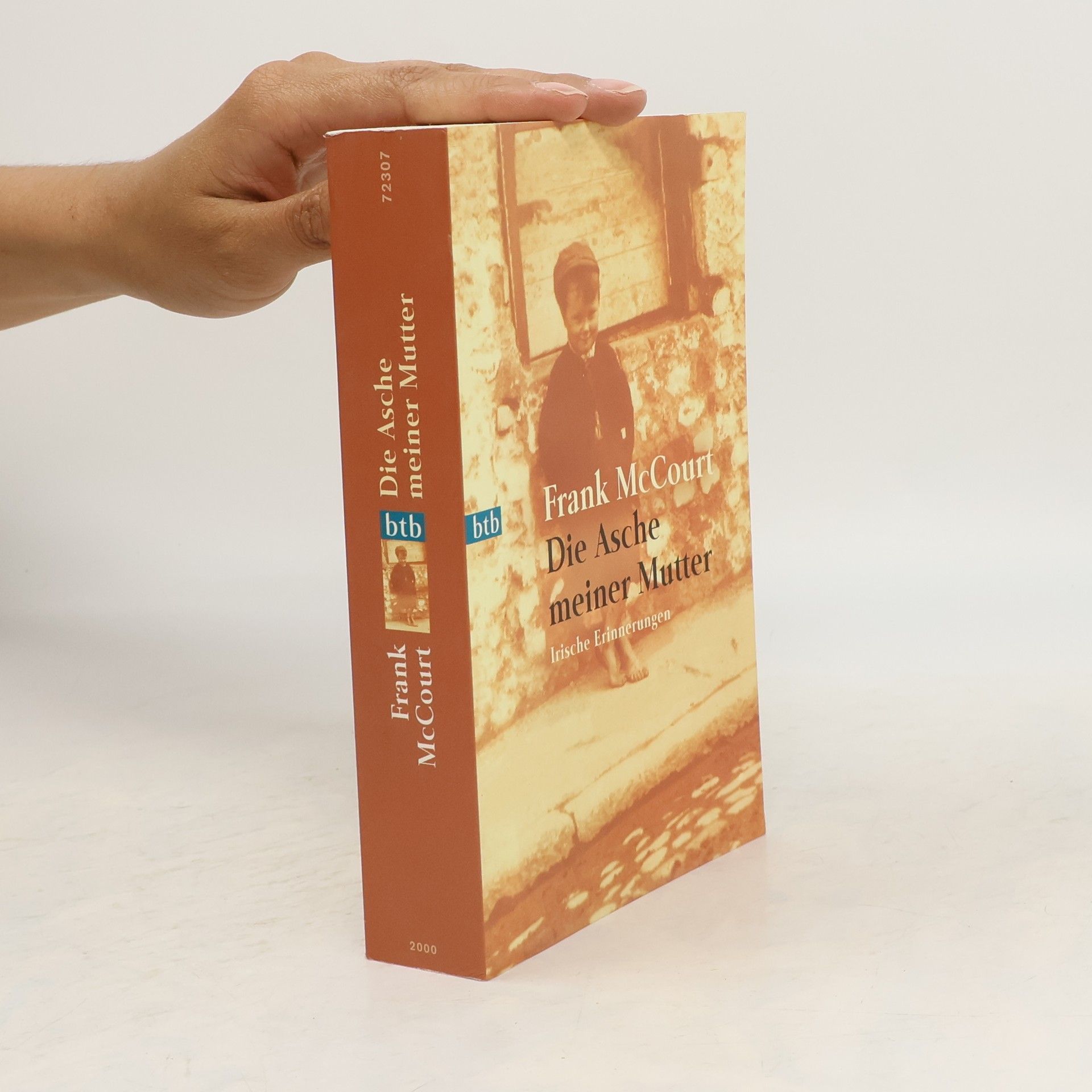 Frank McCourt Die Asche meiner Mutter