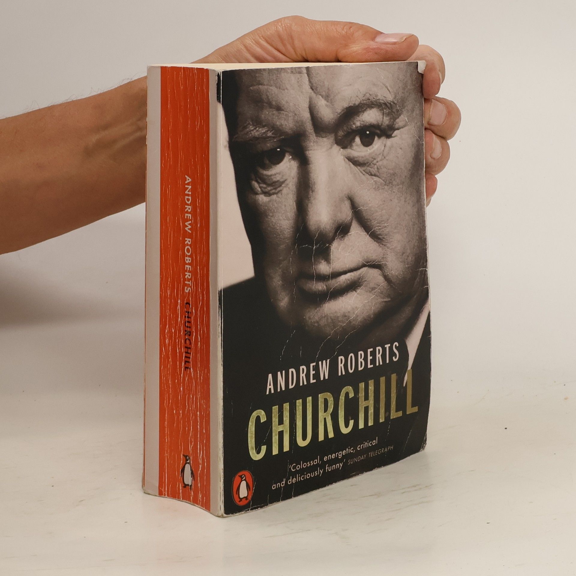 Andrew Roberts Churchill  walking with destiny