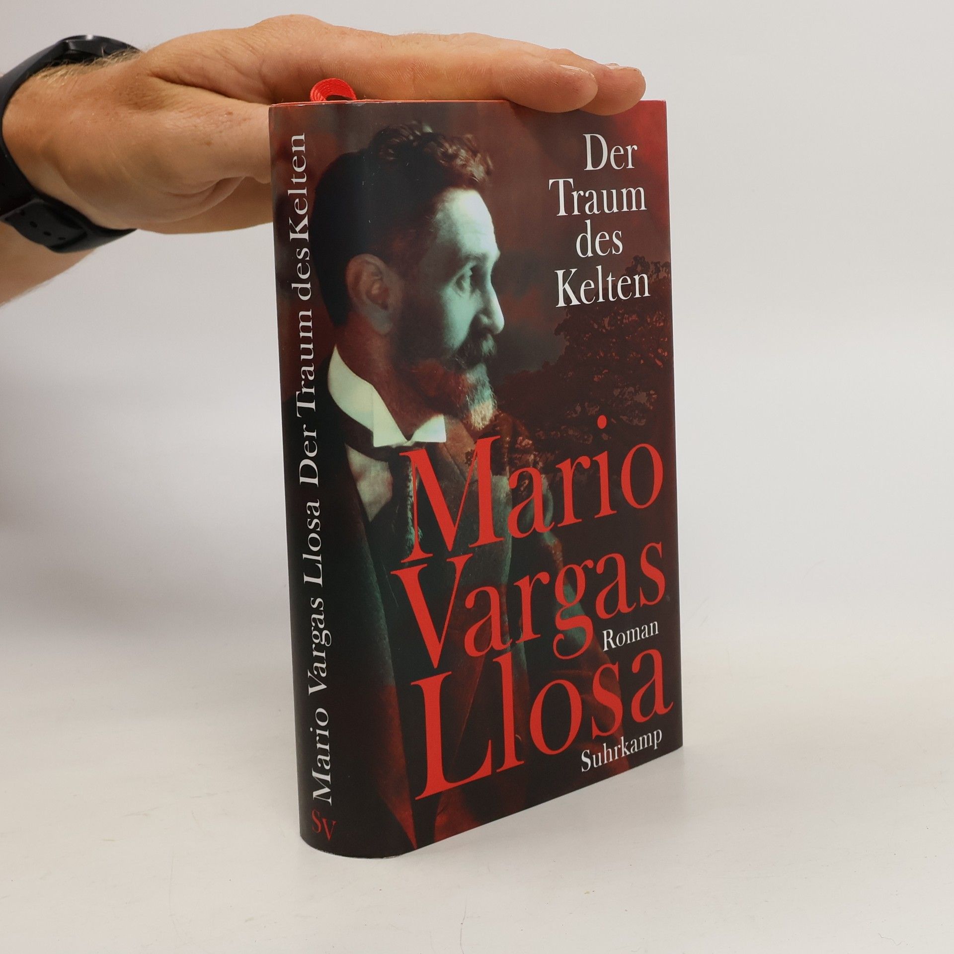 Mario Vargas Llosa Der Traum des Kelten