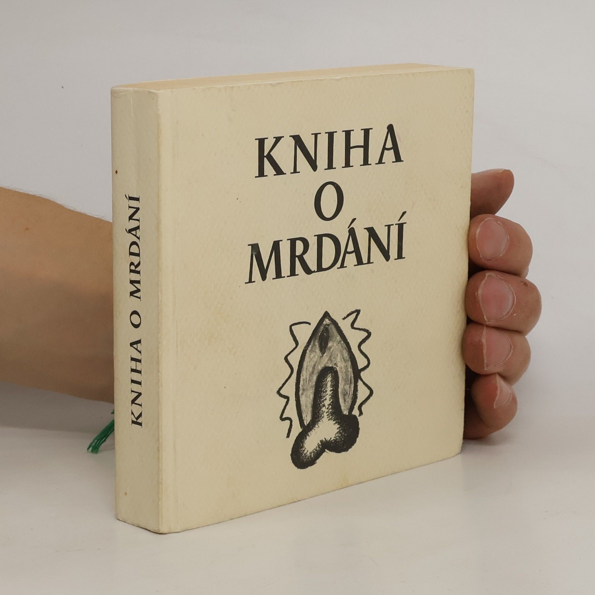 Nela D. Aston Kniha o mrdání