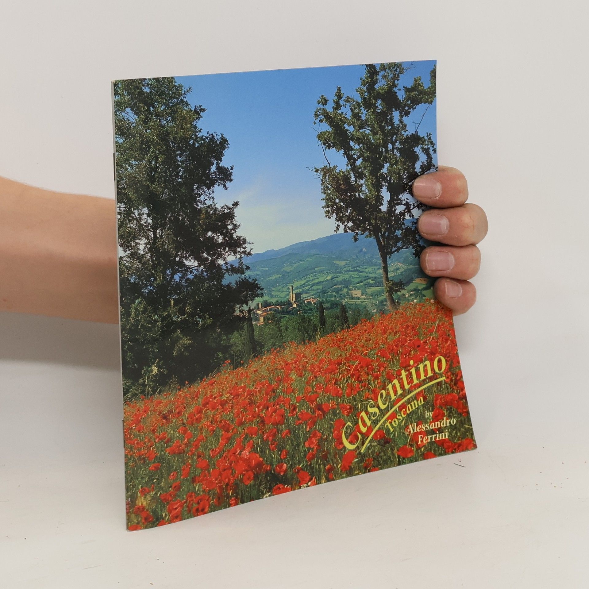 Alessandro Ferrini Gásentino Toscana