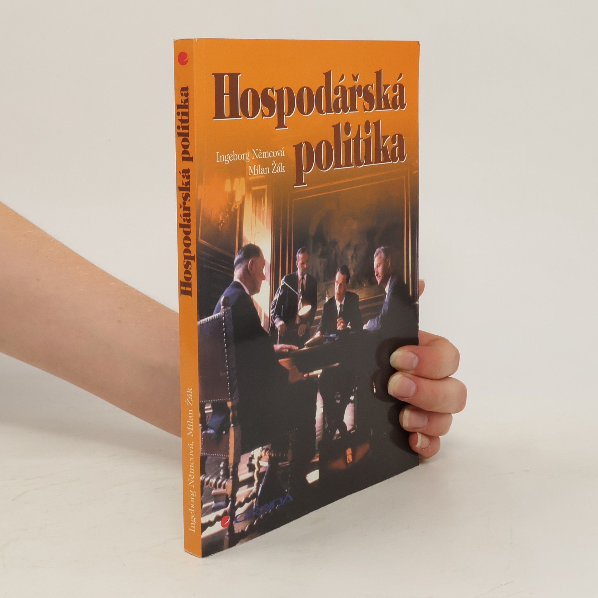 Ingeborg Němcová Hospodářská politika