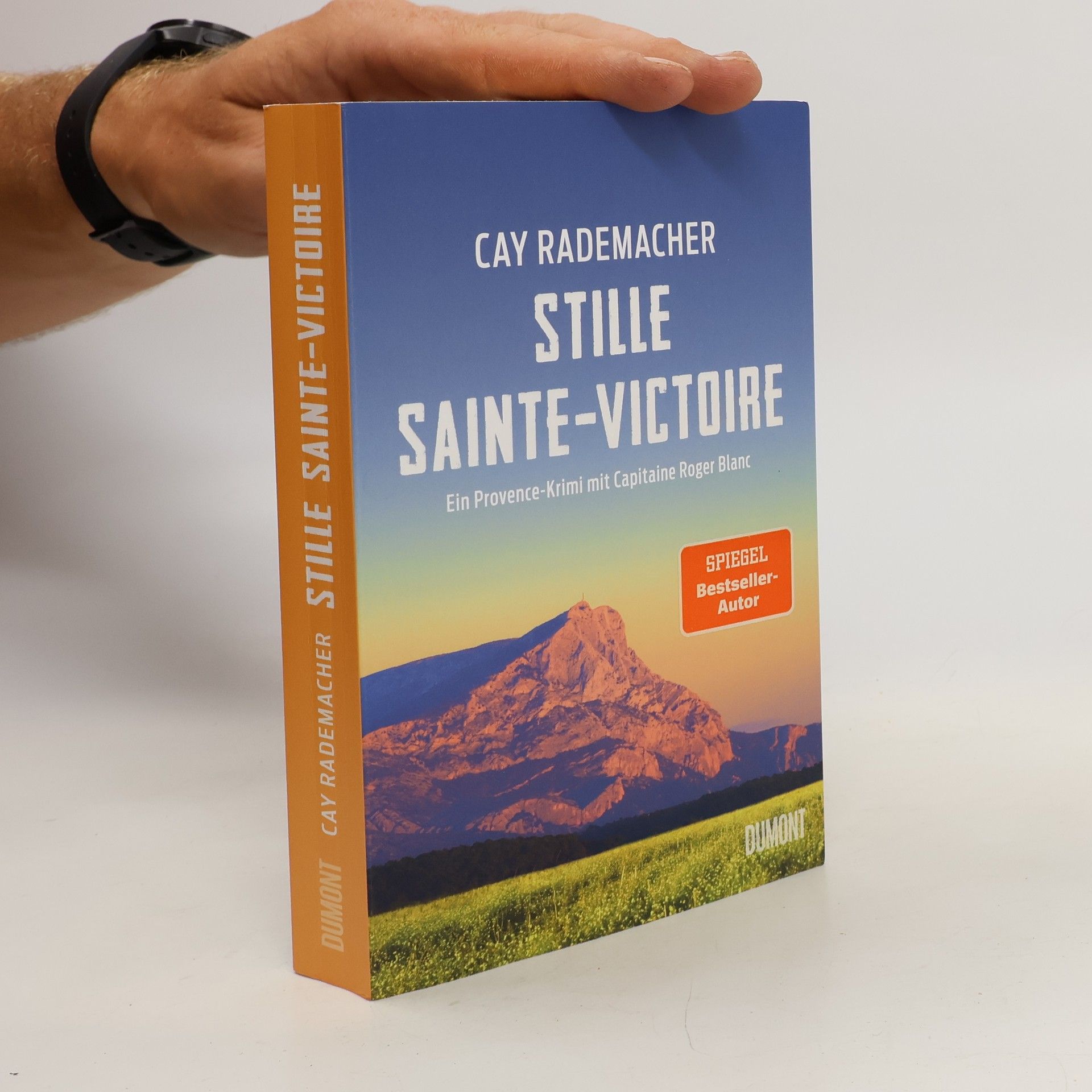 Cay Rademacher Stille Sainte-Victoire