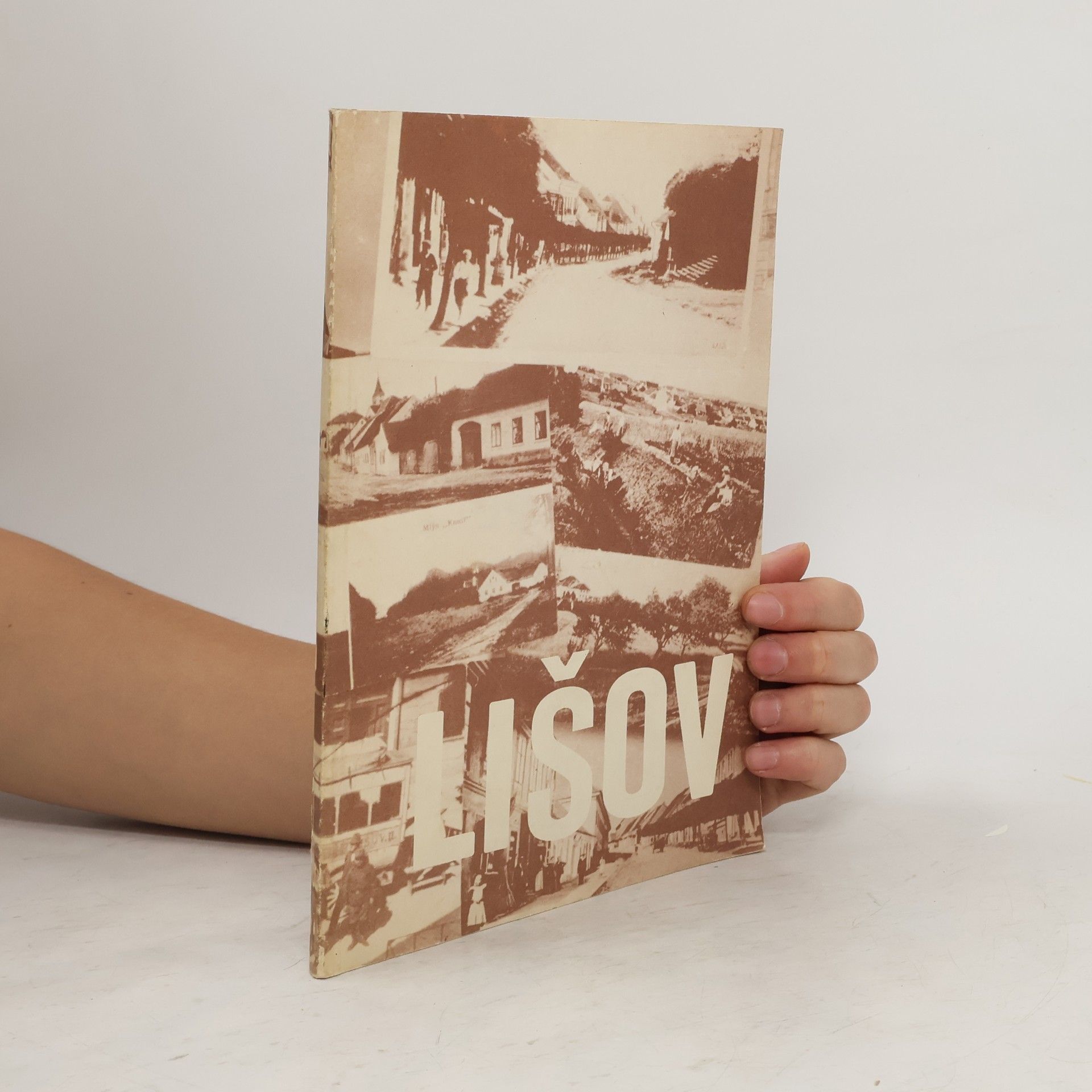 Collectif d'auteurs Lišov