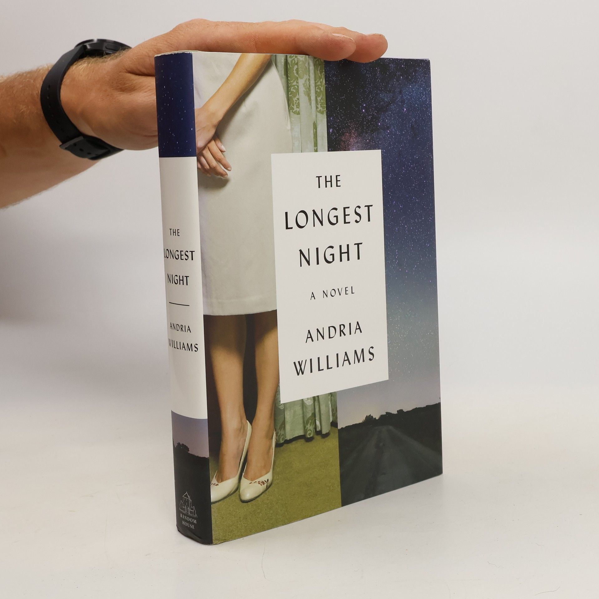 Andria Williams The Longest Night