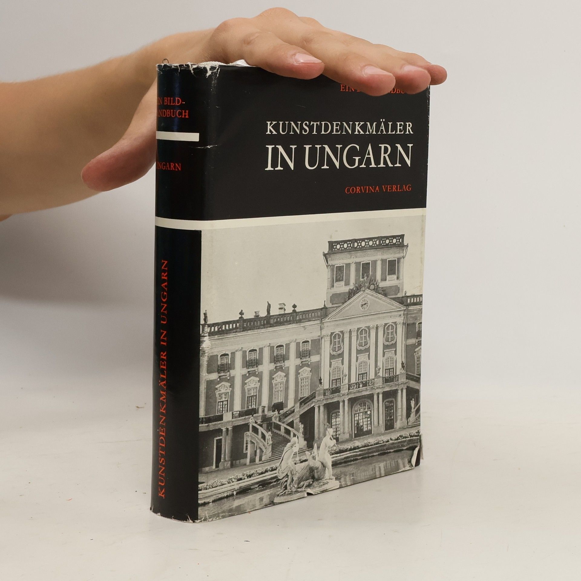Autorenkollektiv Kunstdenkmäler in Ungarn