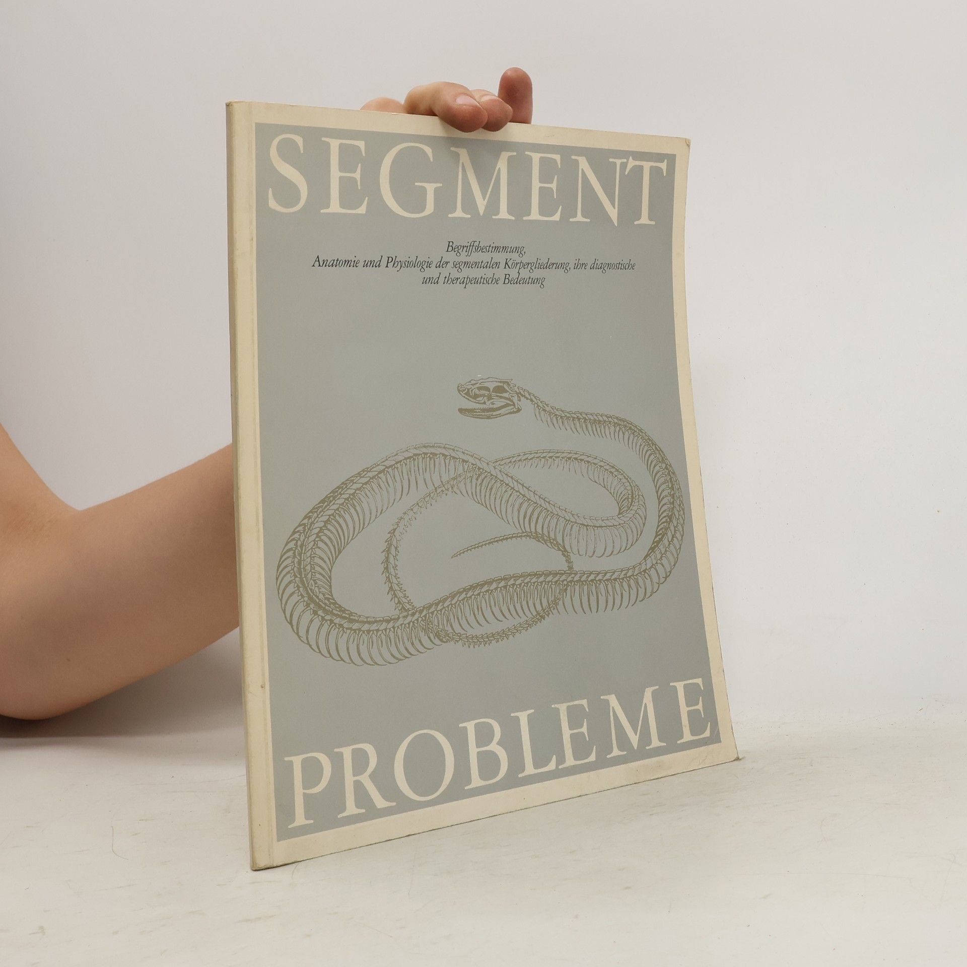 Autorenkollektiv Segment Probleme