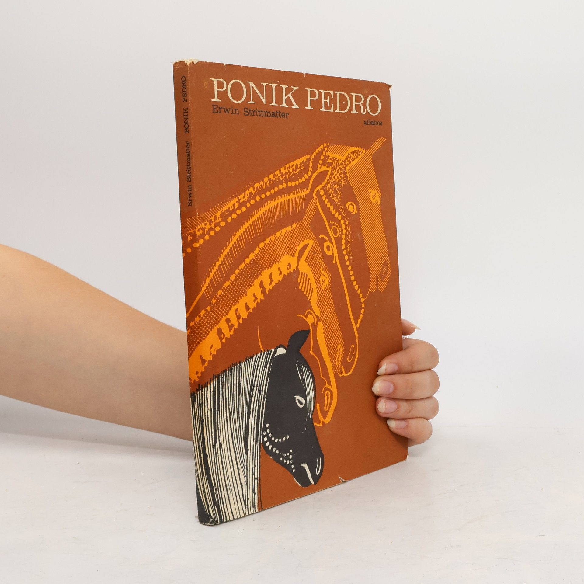 Erwin Strittmatter Poník Pedro
