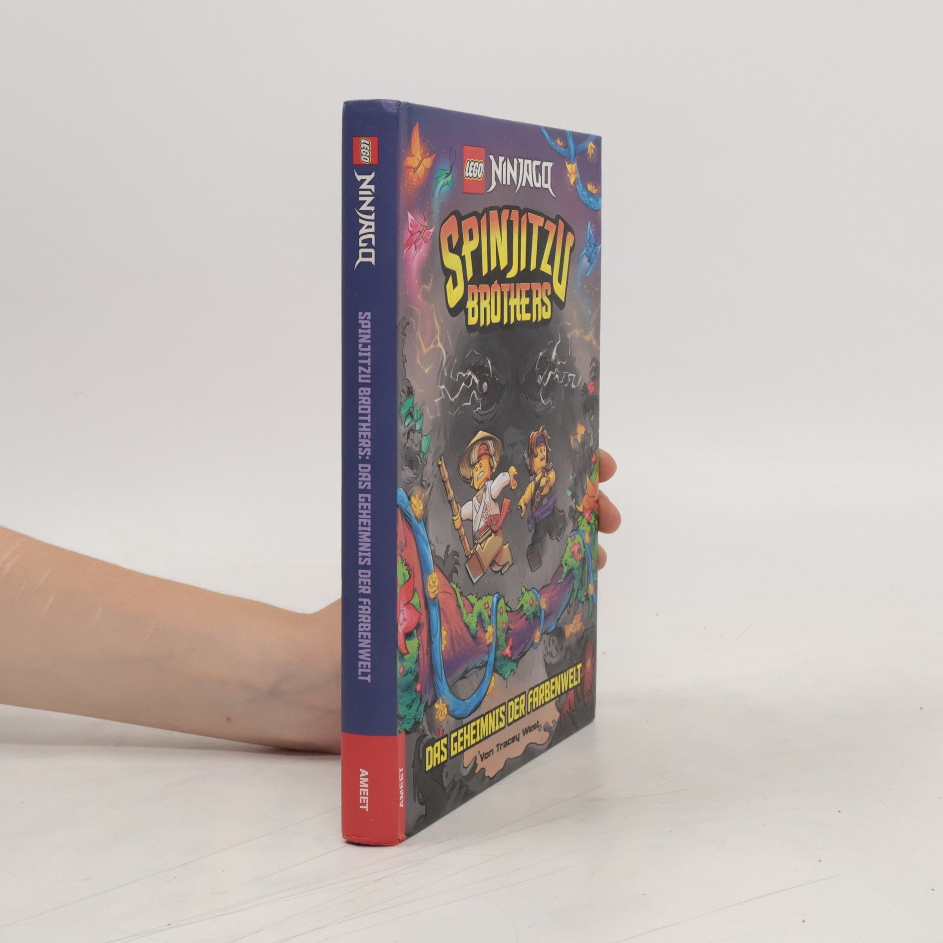 Tracey West LEGO® NINJAGO® - Spinjitzu Brothers - Das Geheimnis der Farbenwelt