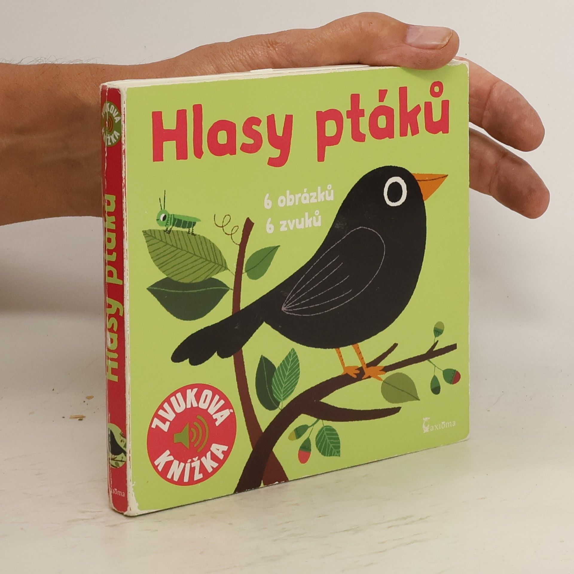 Marion Billet Hlasy ptáků : 6 obrázků, 6 zvuků