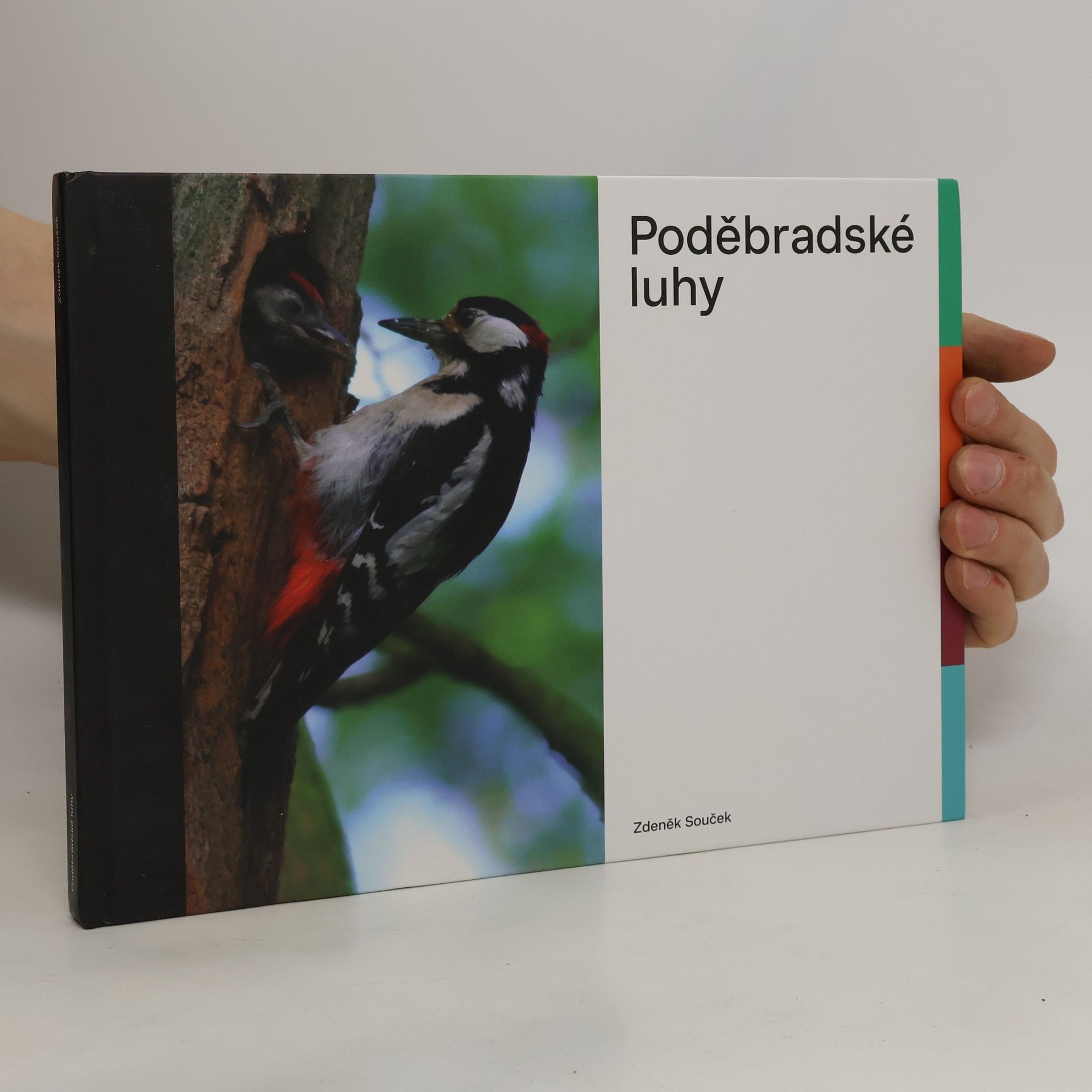 Pavel Ševčík Poděbradské luhy