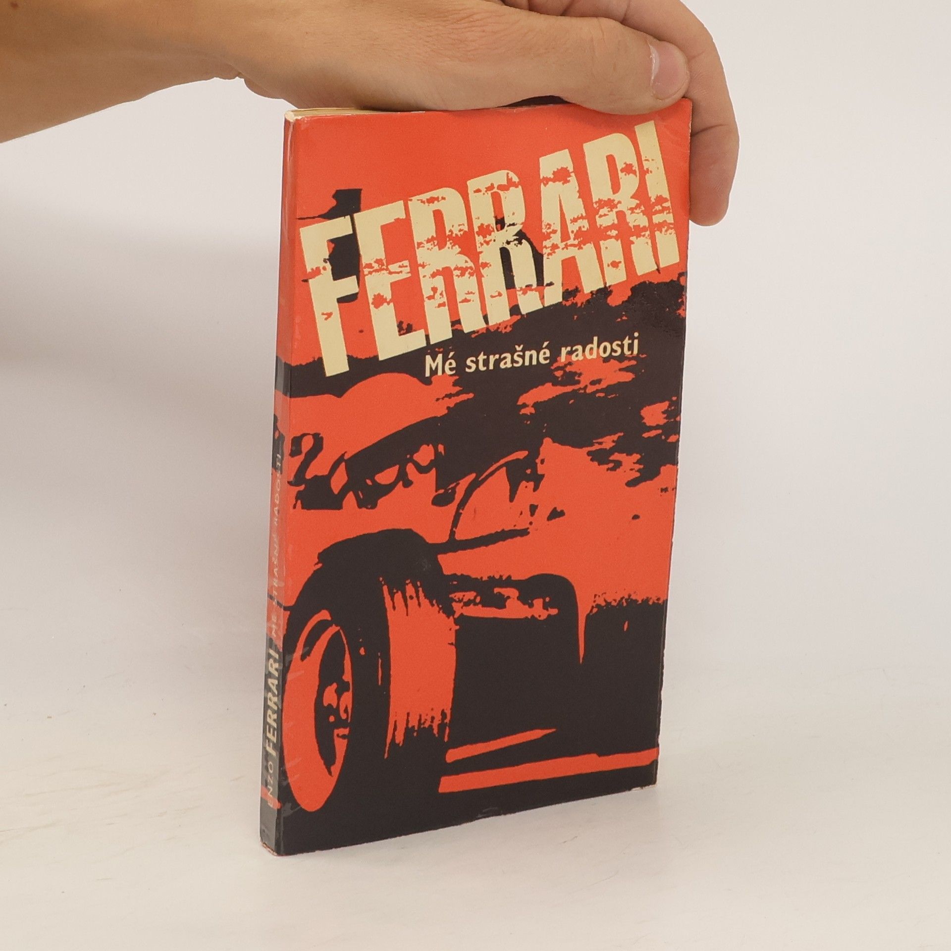 Enzo Ferrari Mé strašné radosti
