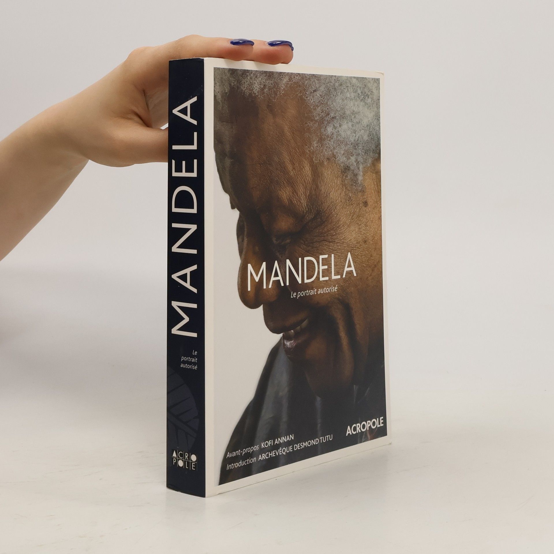 Mike Nicol Mandela, le portrait autorisé