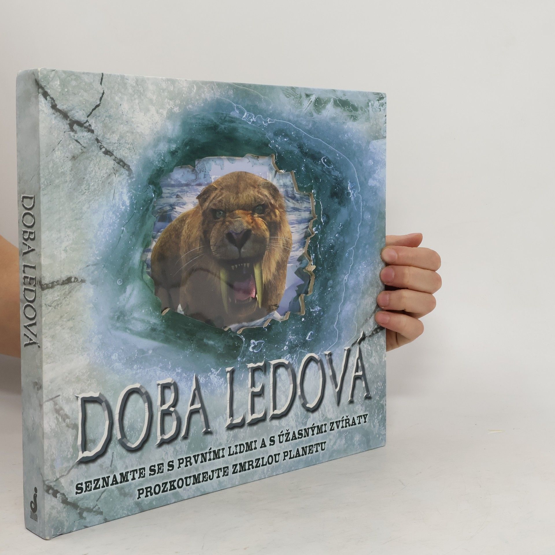 Stewart Ross Doba ledová: Seznamte se s prvními lidmi a s úžasnými zvířaty, prozkoumejte zmrzlou planetu