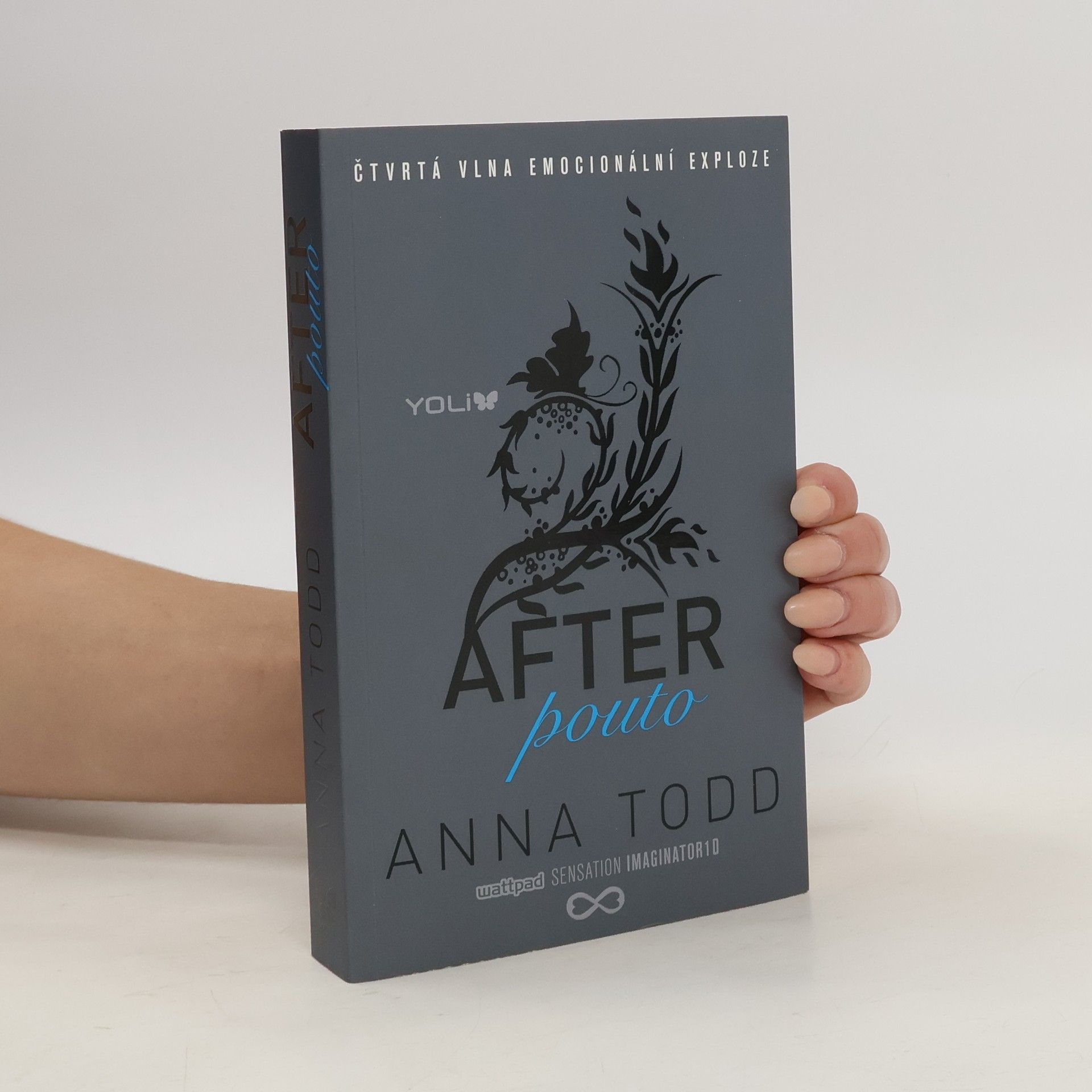 Anna Todd After. Pouto