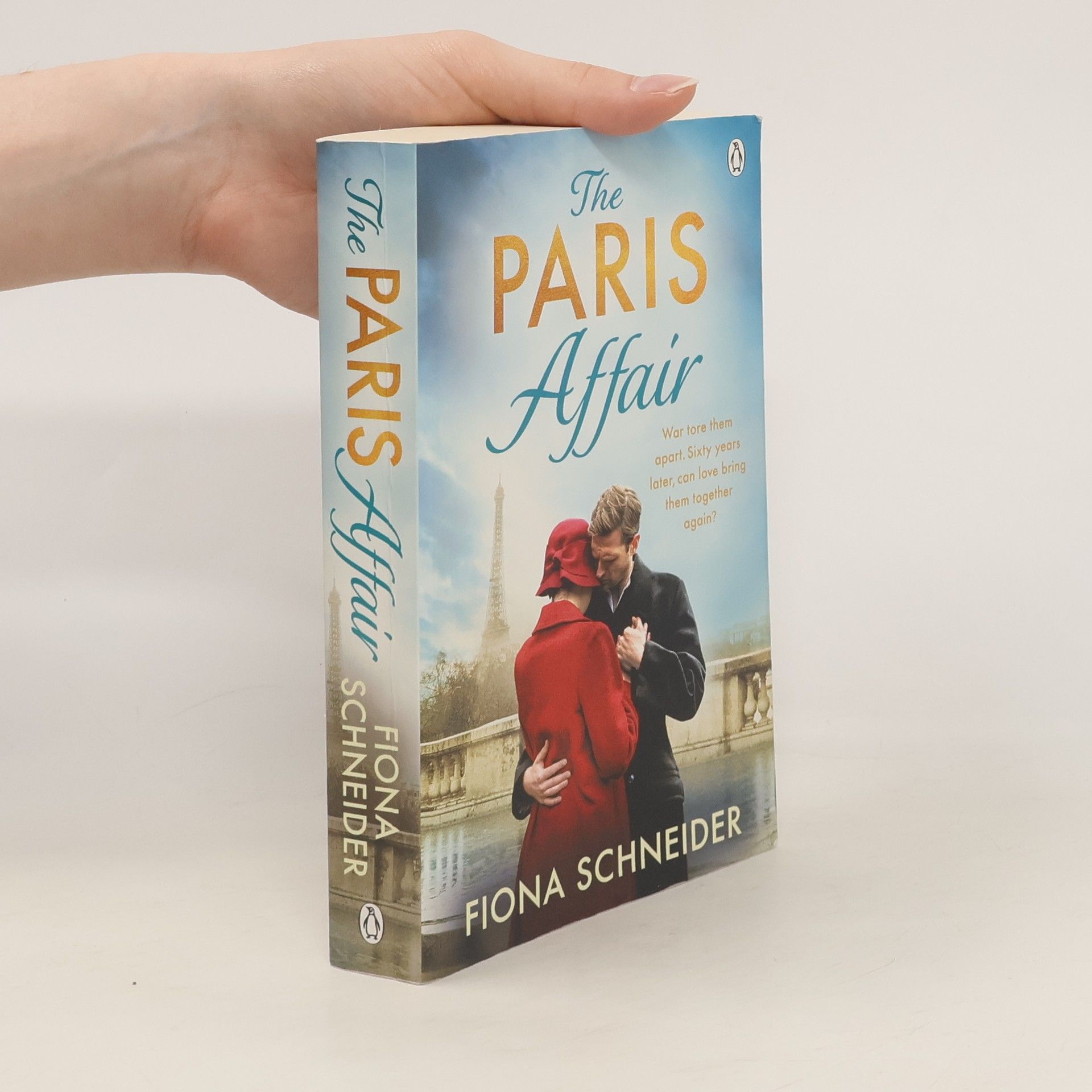 Fiona Schneider The Paris Affair: A breath-taking historical romance perfect for fans of Lucinda Riley