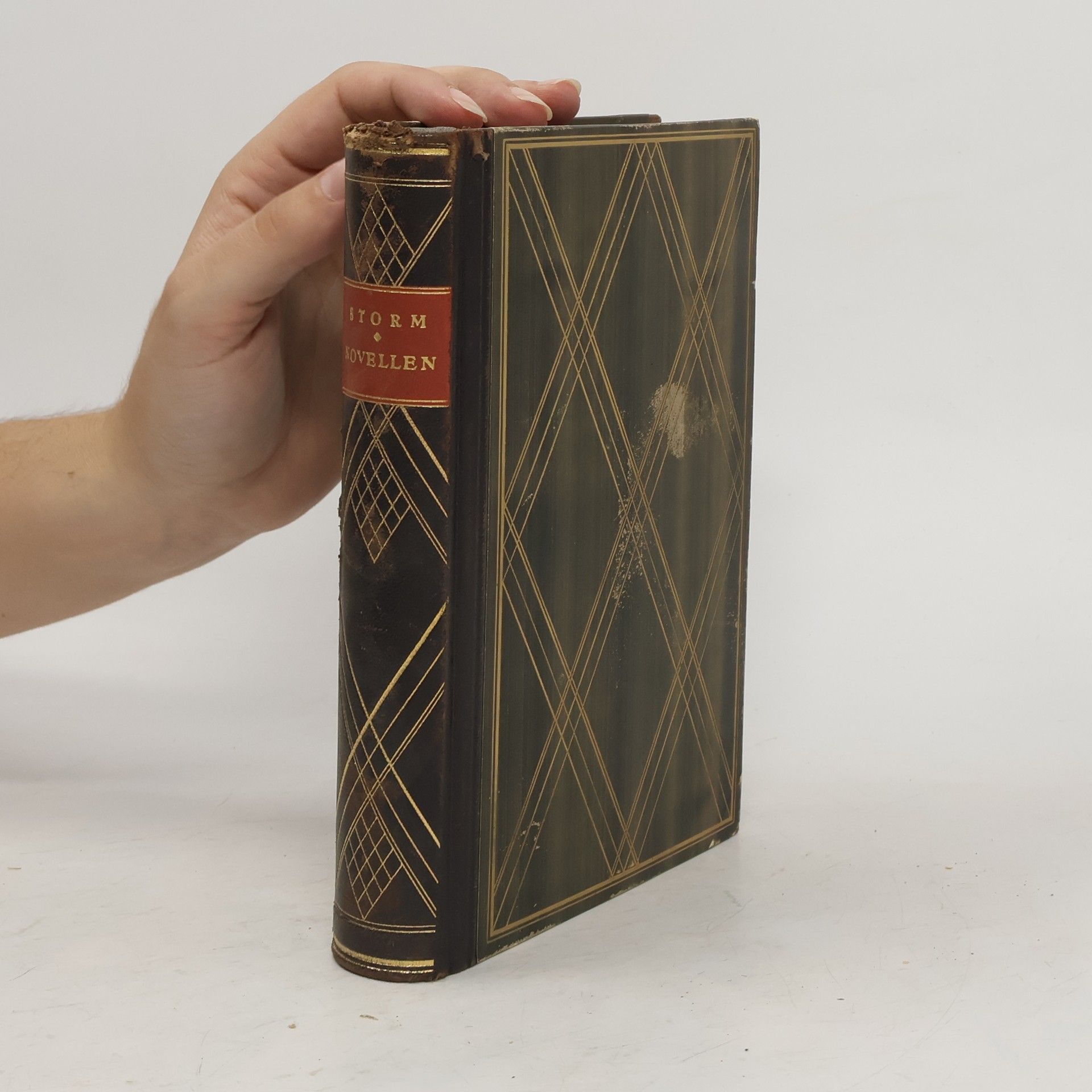 Theodor Storm Novellen. Immensee und andere Novellen