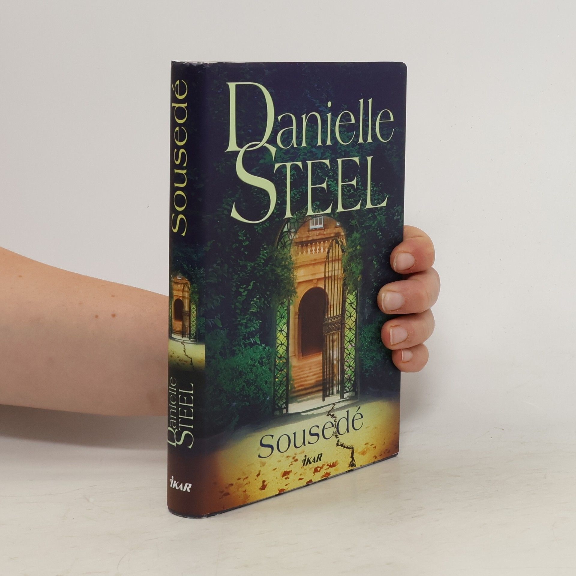 Danielle Steel Sousedé