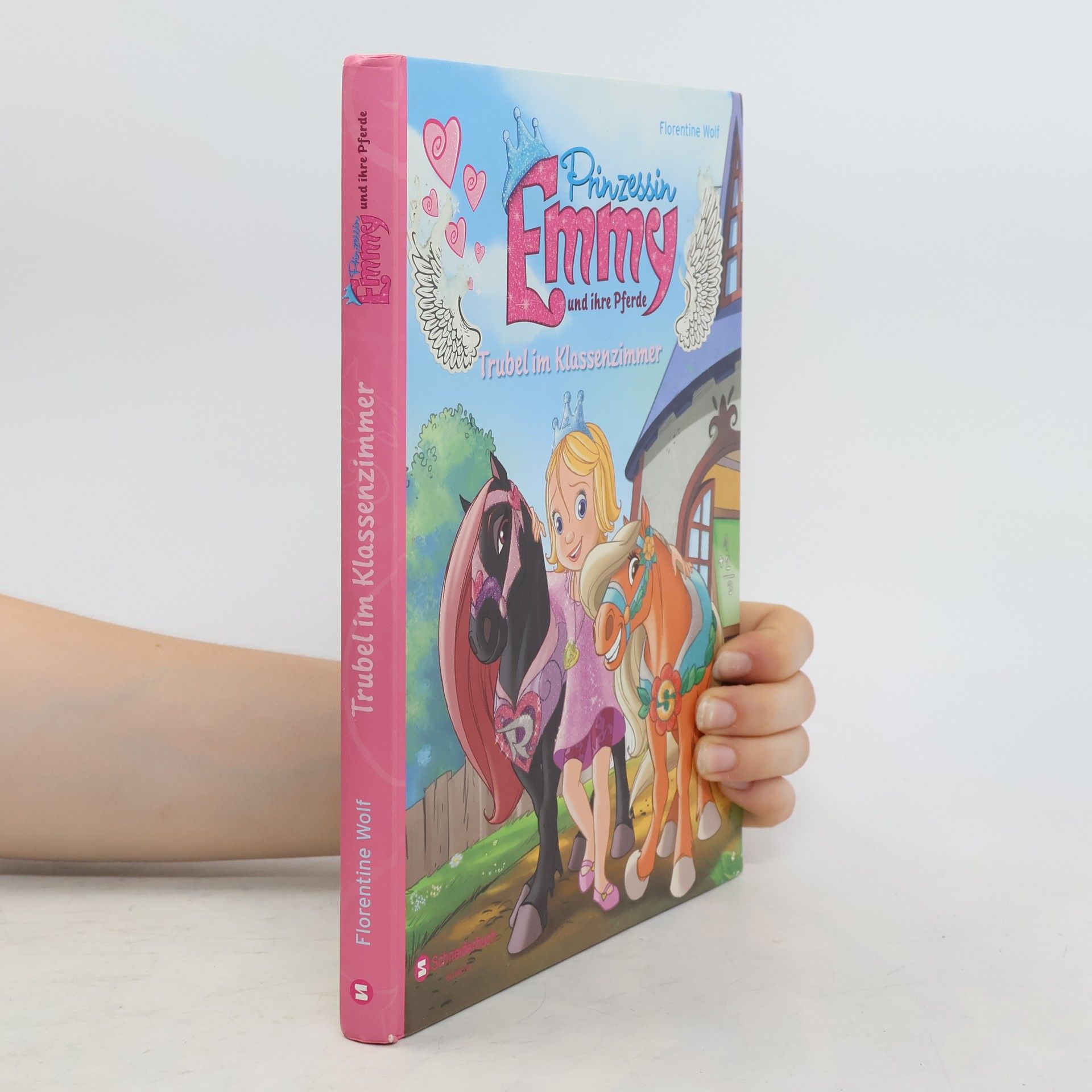 Florentine Wolf Prinzessin Emmy und ihre Pferde. Trubel im Klassenzimmer