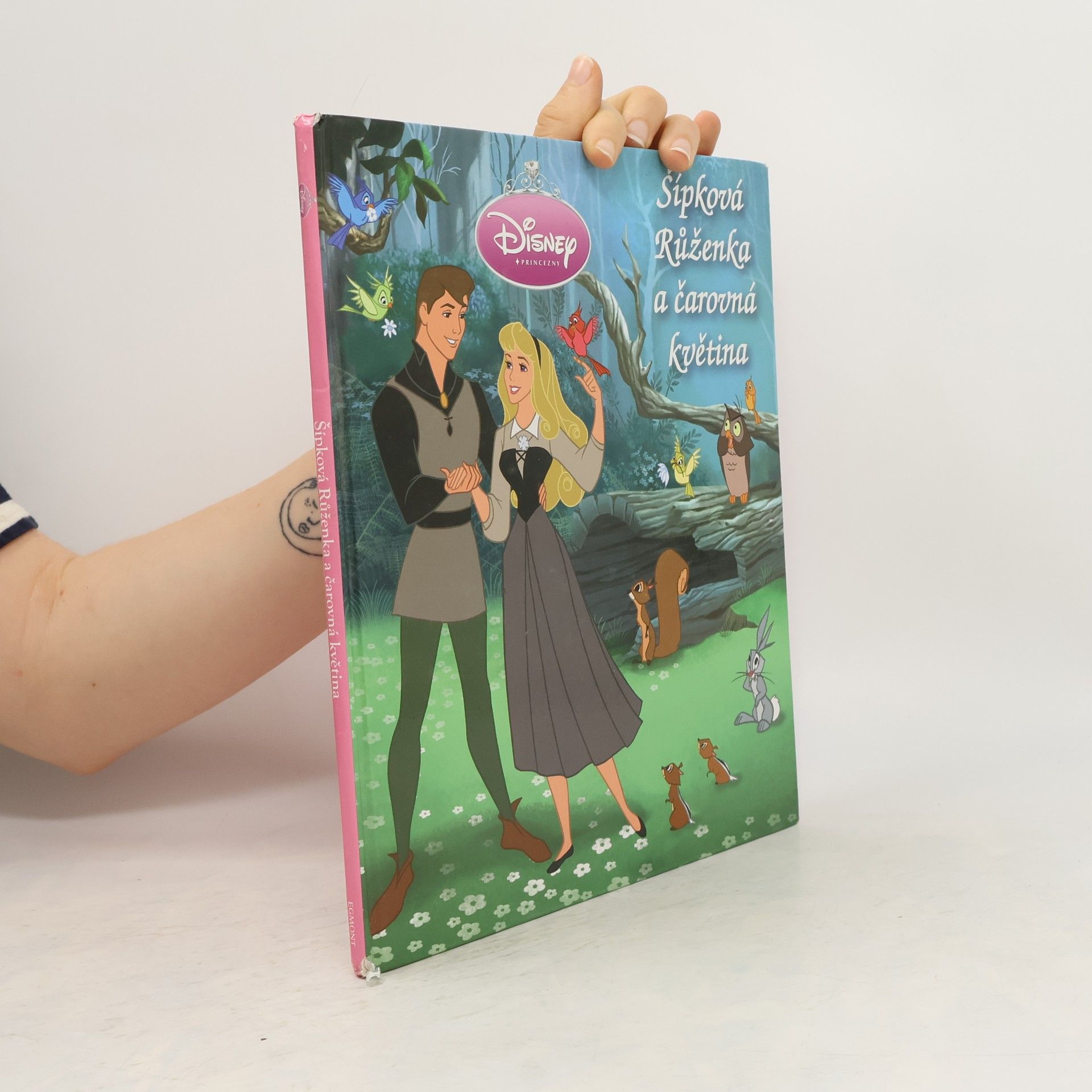 Walt Disney Šípková Růženka a čarovná květina