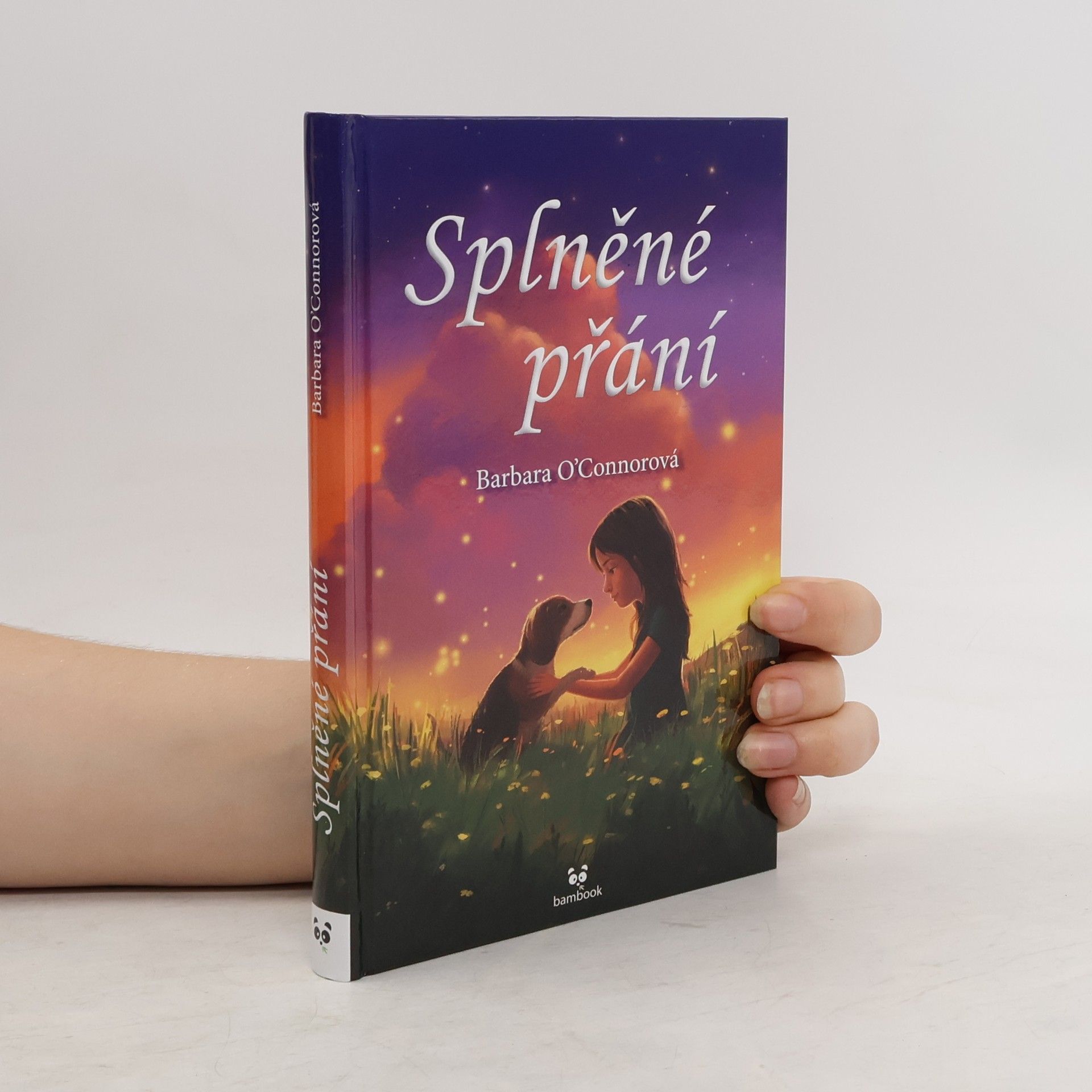 Barbara O'Connor Splněné přání
