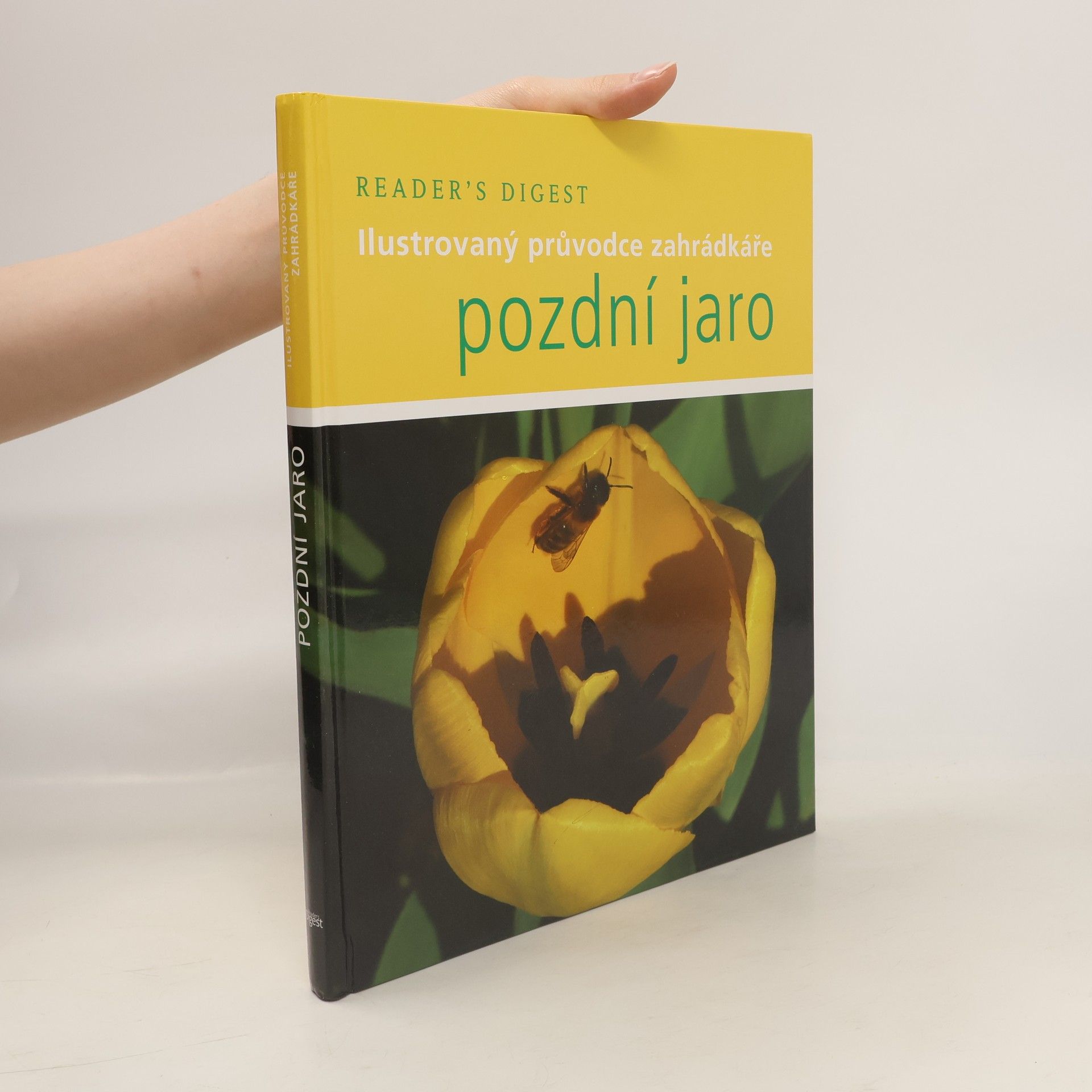 Steve Bradley Pozdní jaro
