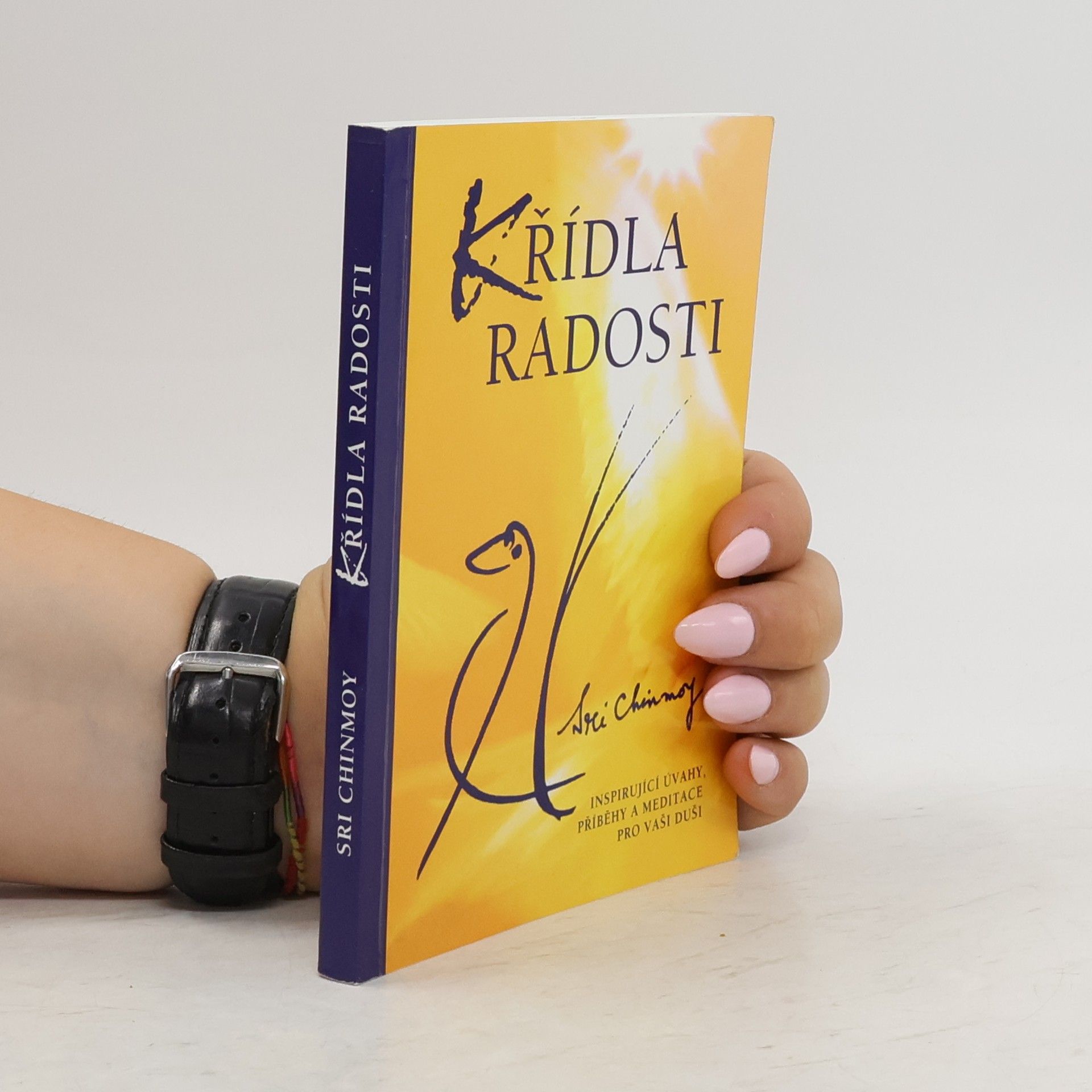 Chinmoy Kumar Ghose Křídla radosti