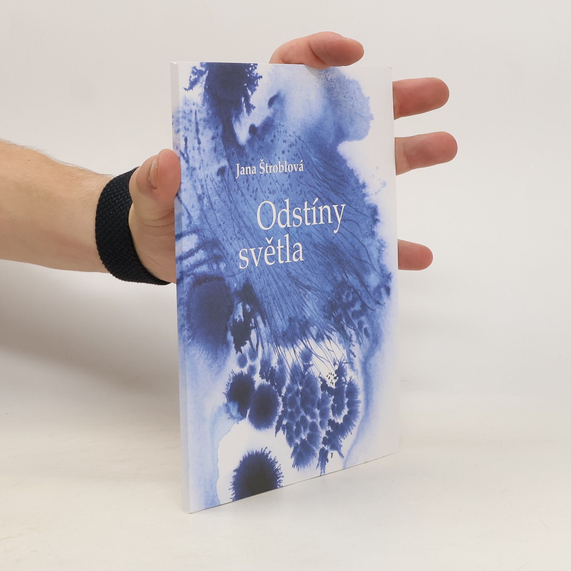 Štroblová Jana Odstíny světla