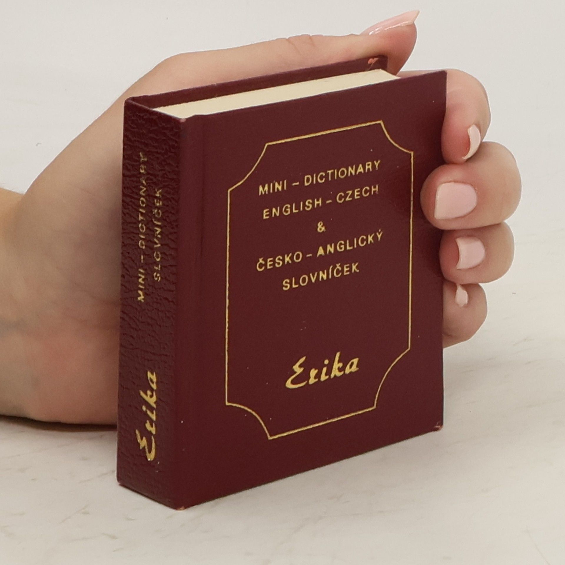 Pavel J. Becke Mini-Dictionary English-Czech & česko-anglický slovníček