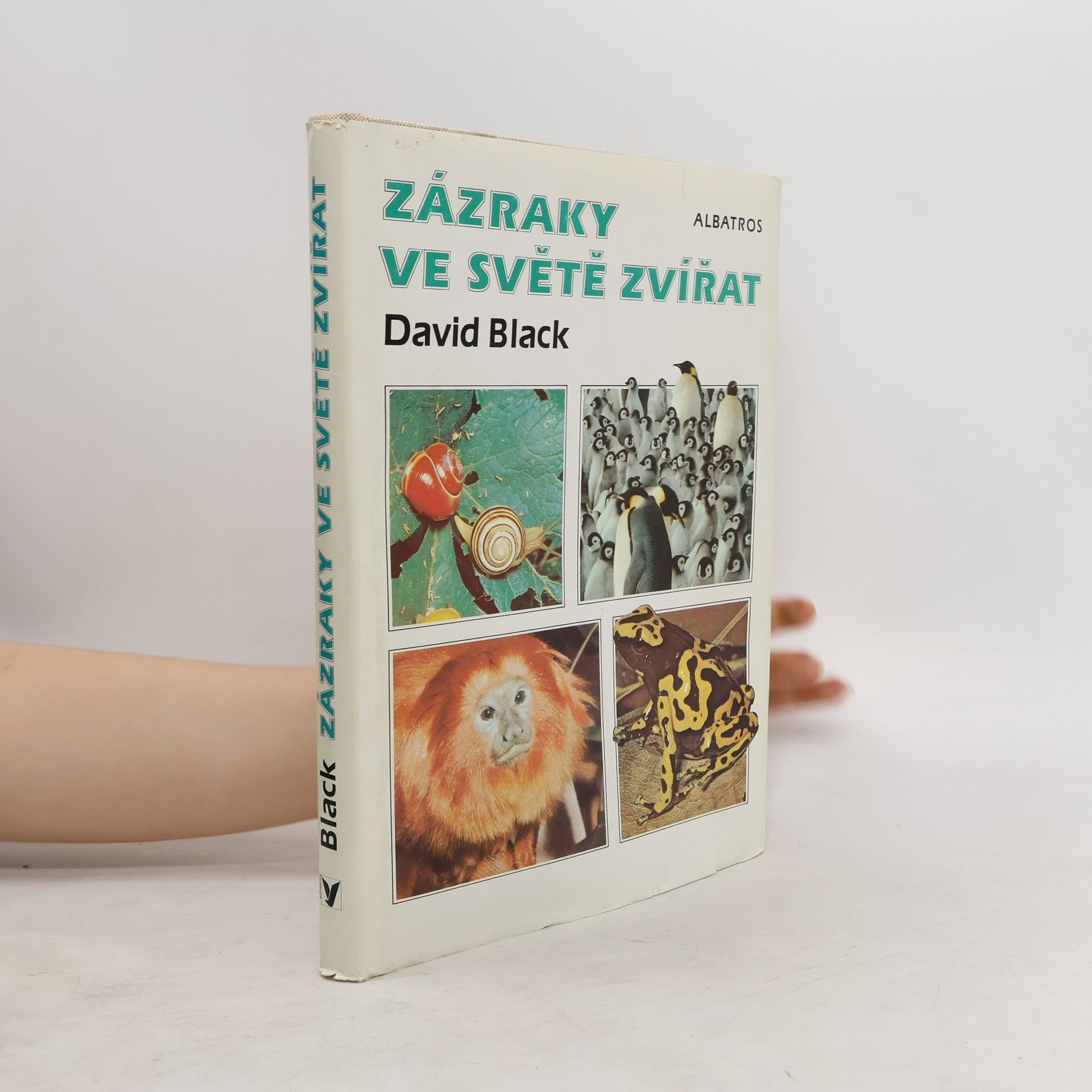 David Black Zázraky ve světě zvířat