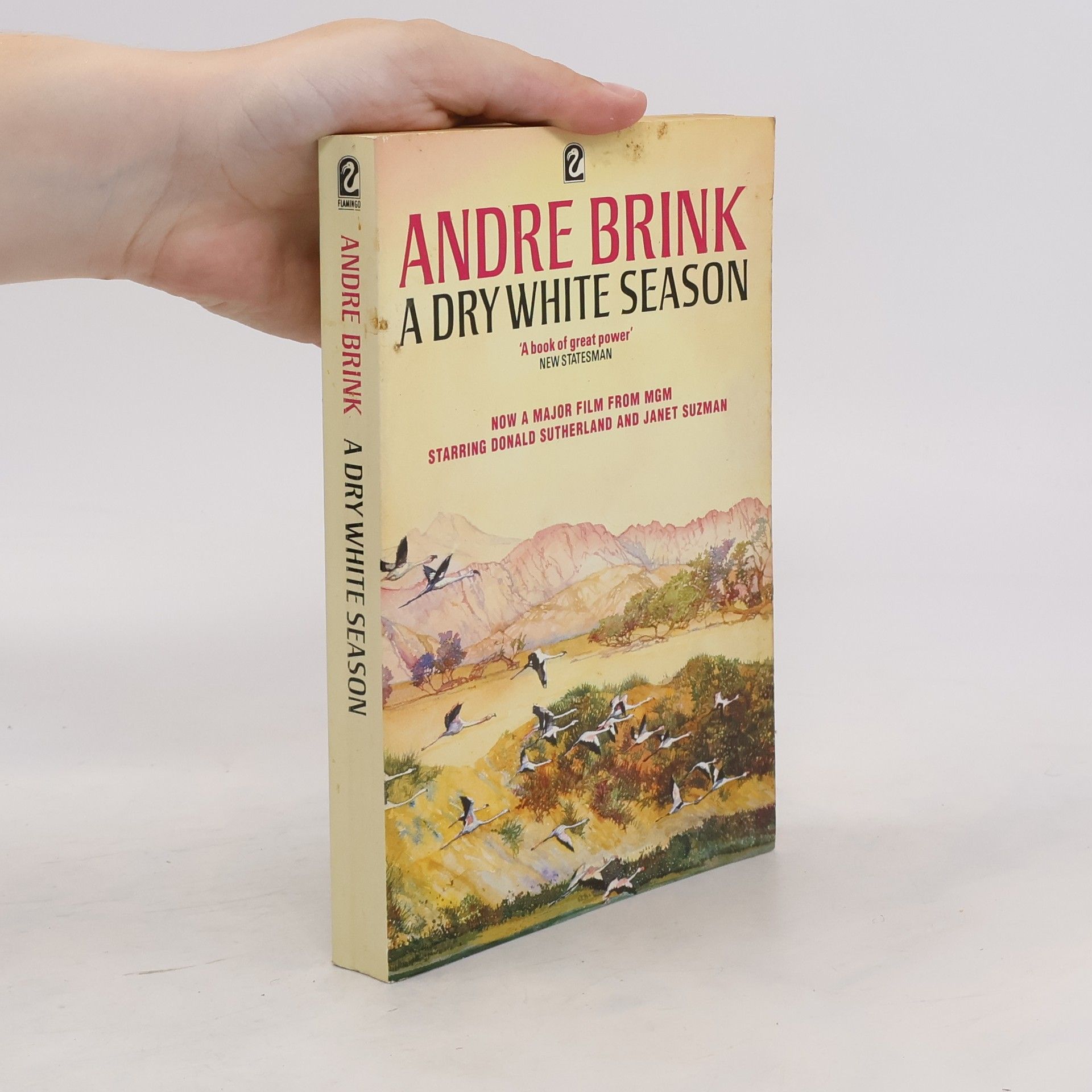 André Brink A Dry White Season