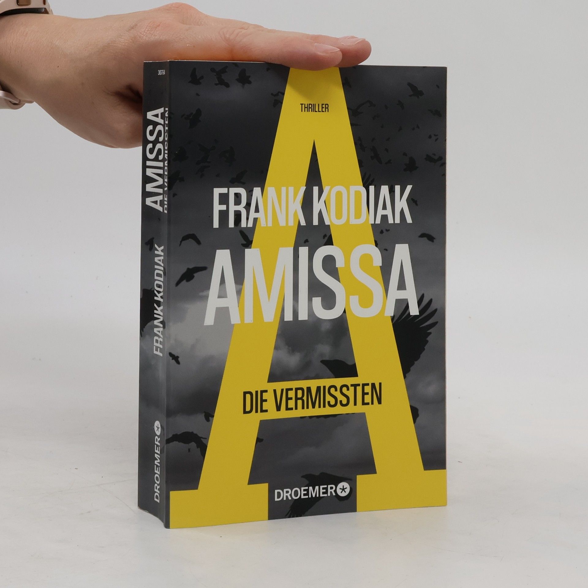 Hendrik Winter Amissa - die Vermissten