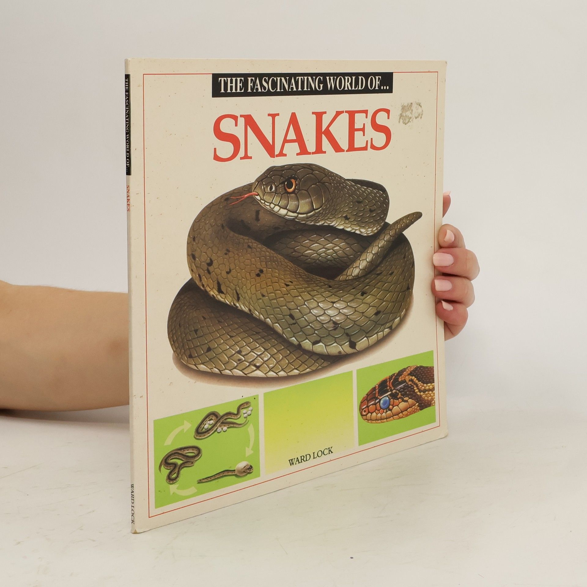 Angels Julivert Fascinating World of Snakes