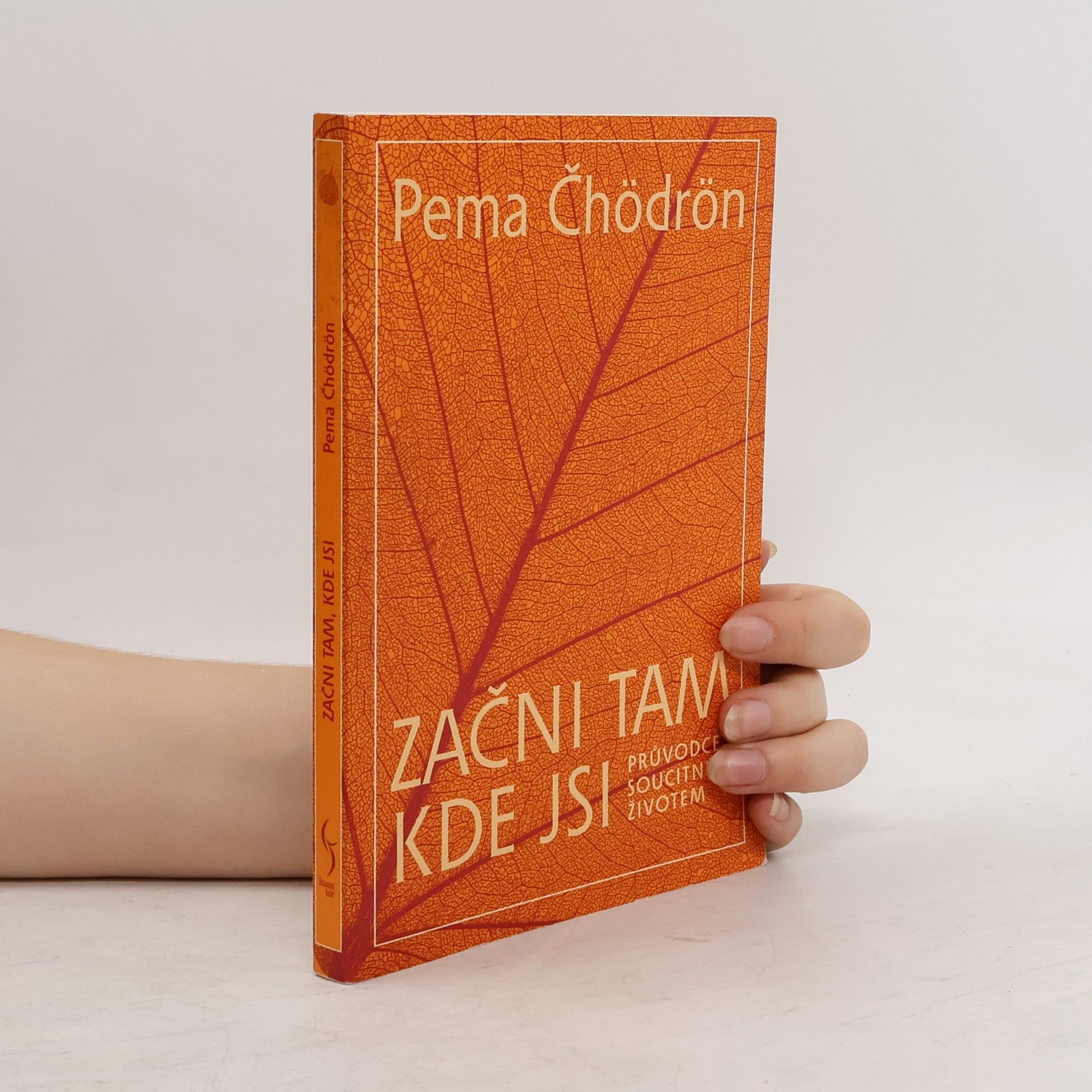 Pema Chödrön Začni tam, kde jsi: Průvodce soucitným životem